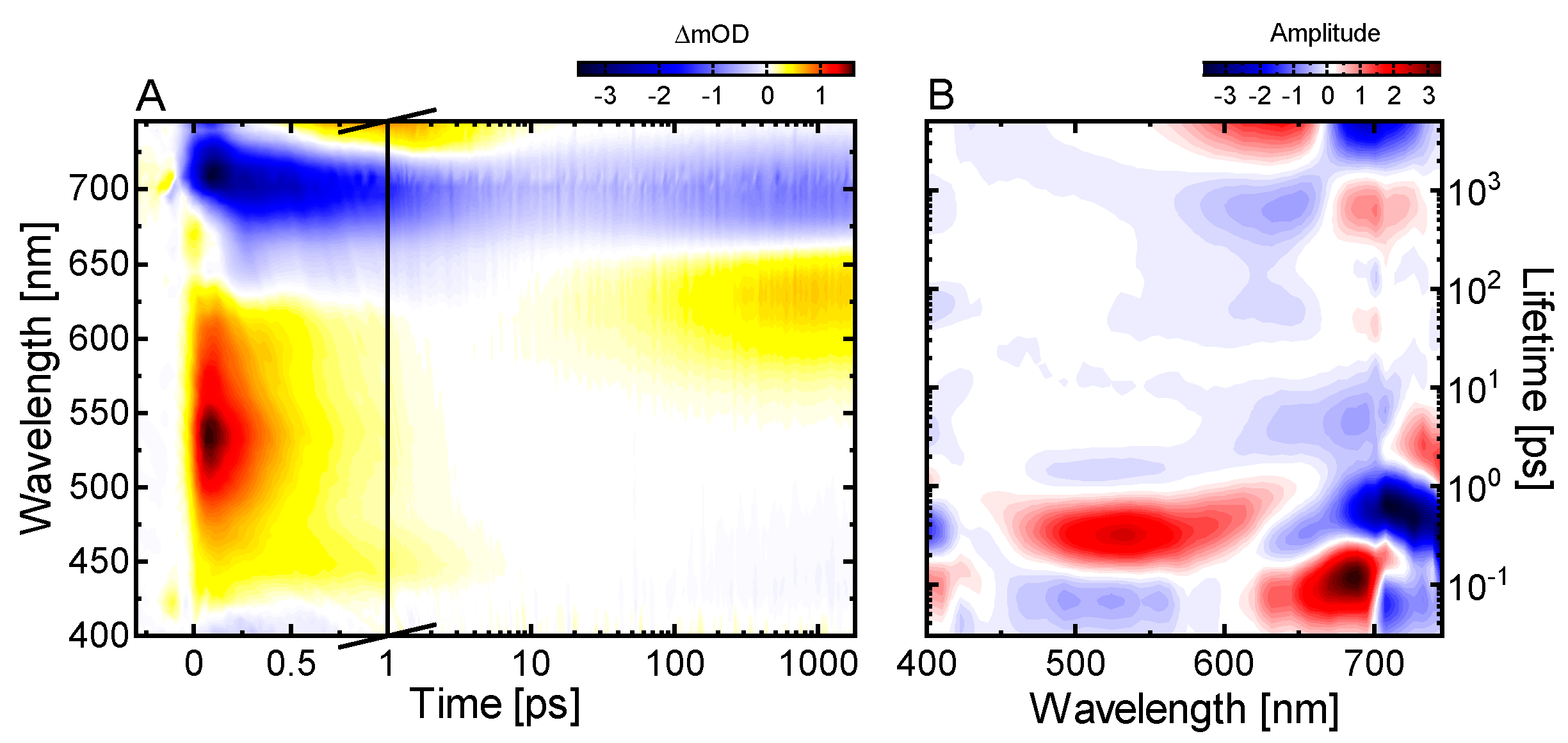 Ijms 22 10690 g005 Ijms 22 10690 g005