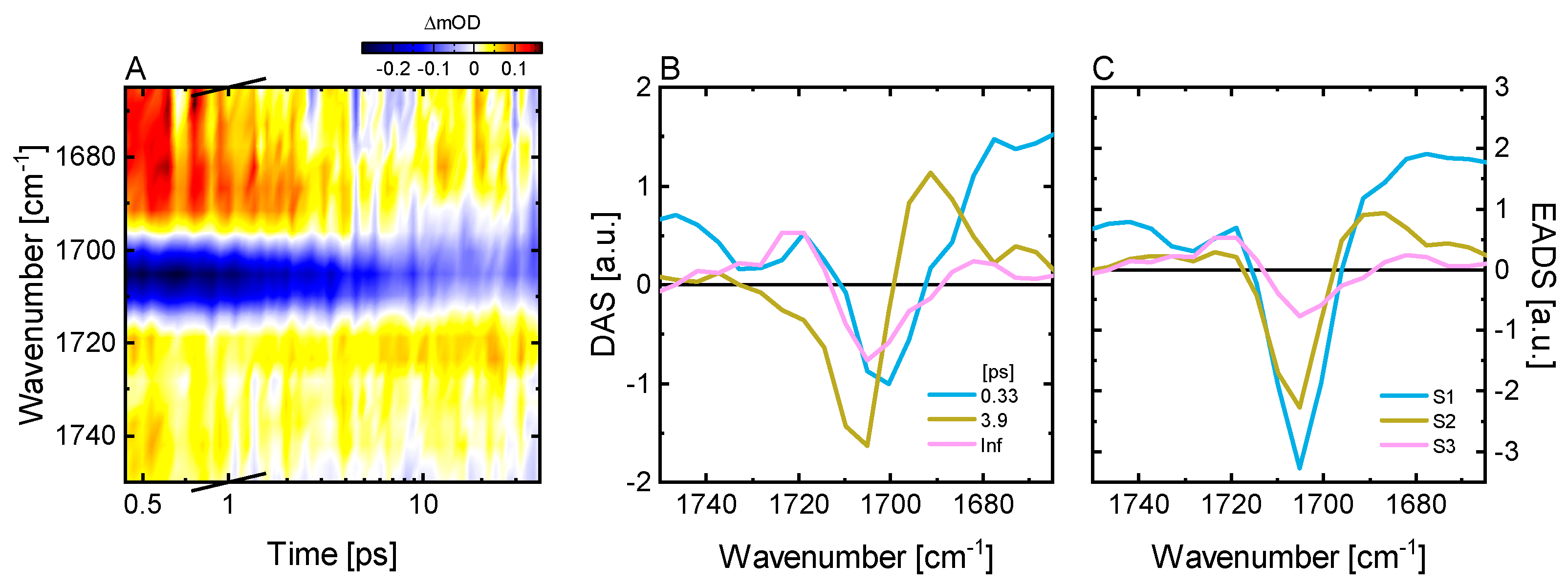 Ijms 22 10690 g006 Ijms 22 10690 g006
