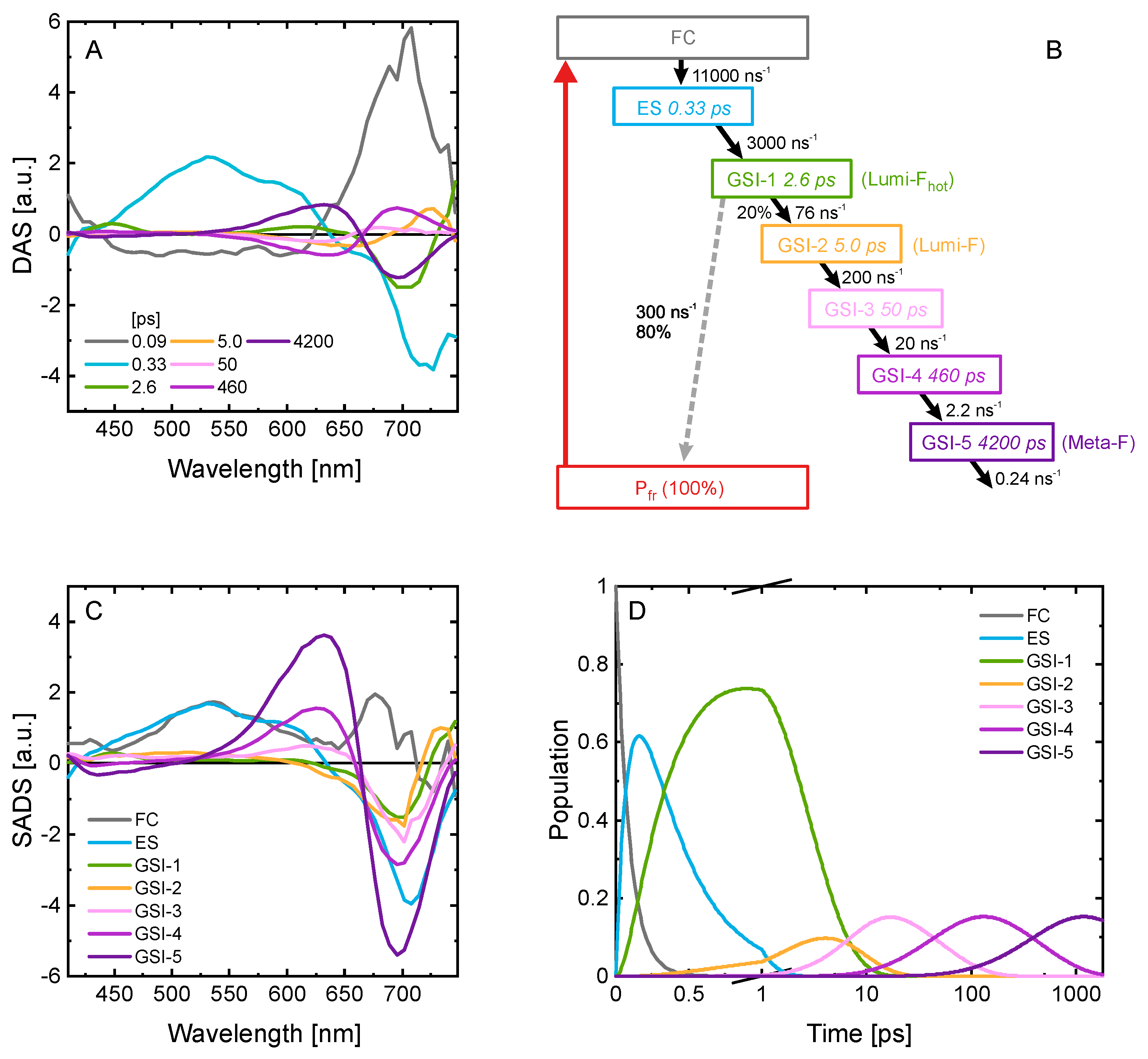 IJMS - Free Full-Text - Ultrafast Photoconversion Dynamics of the Knotless  Phytochrome SynCph2 - HTML