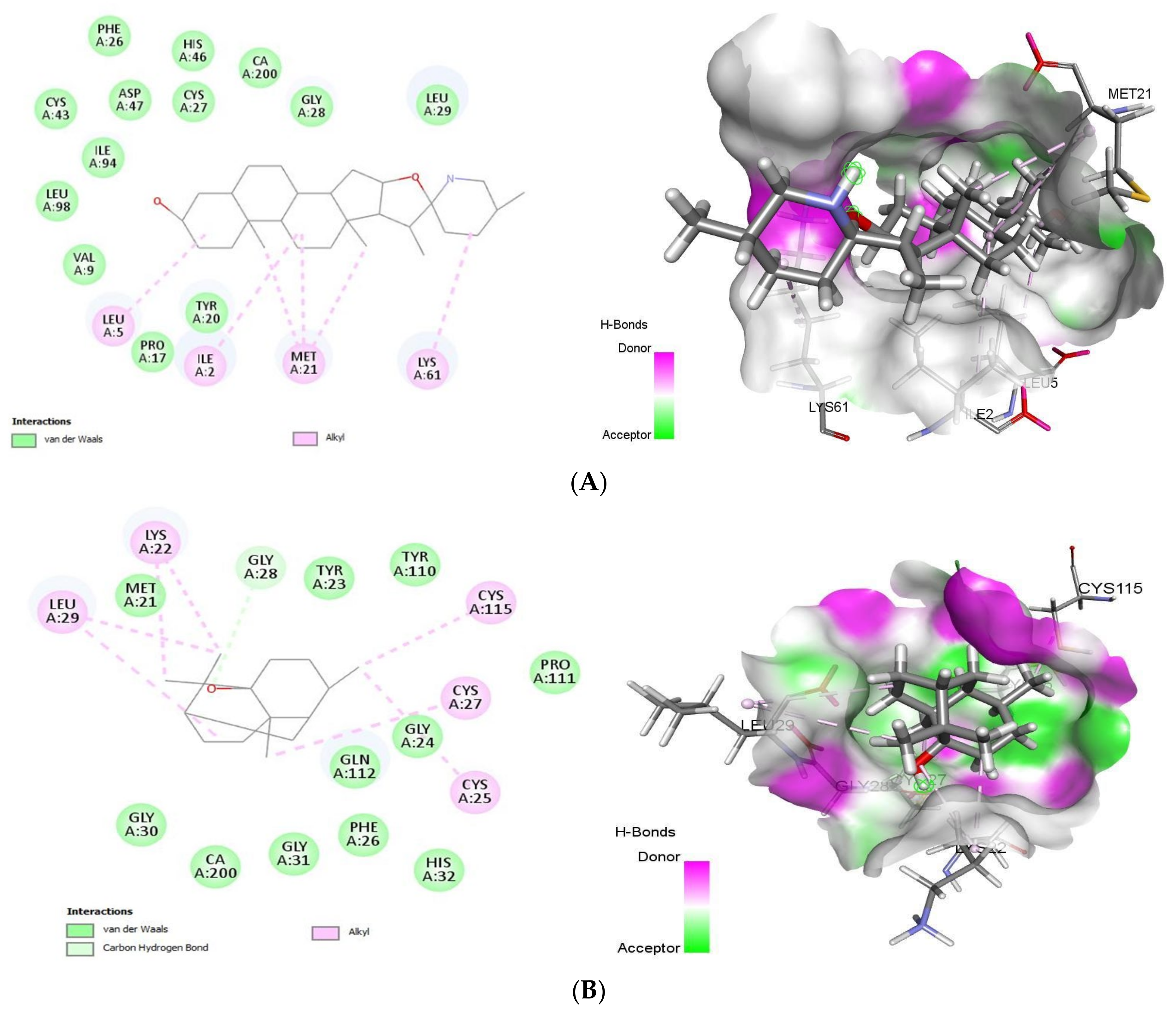 Ijms 22 10693 g005 550