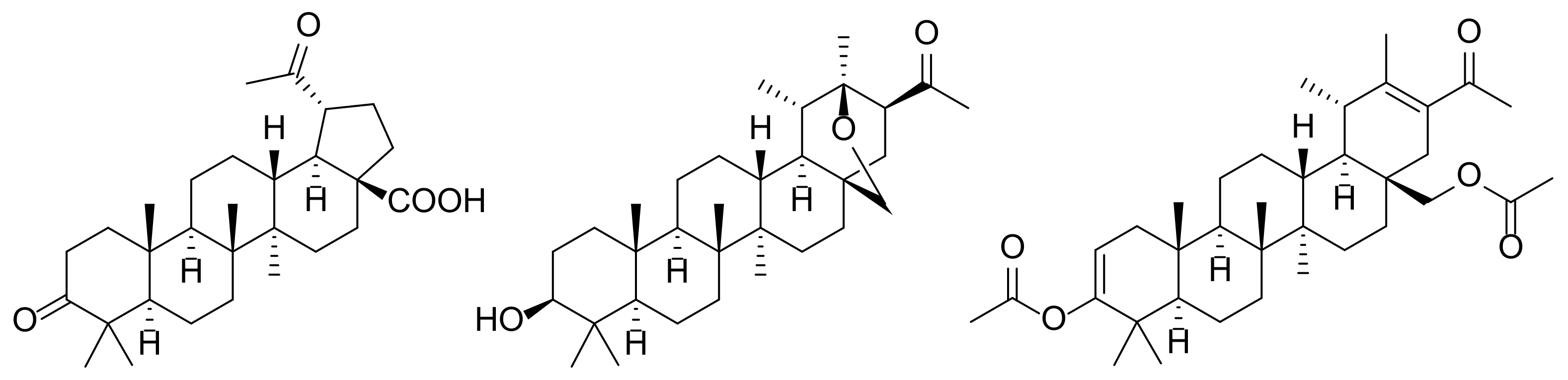 Ijms 22 10695 g002 550