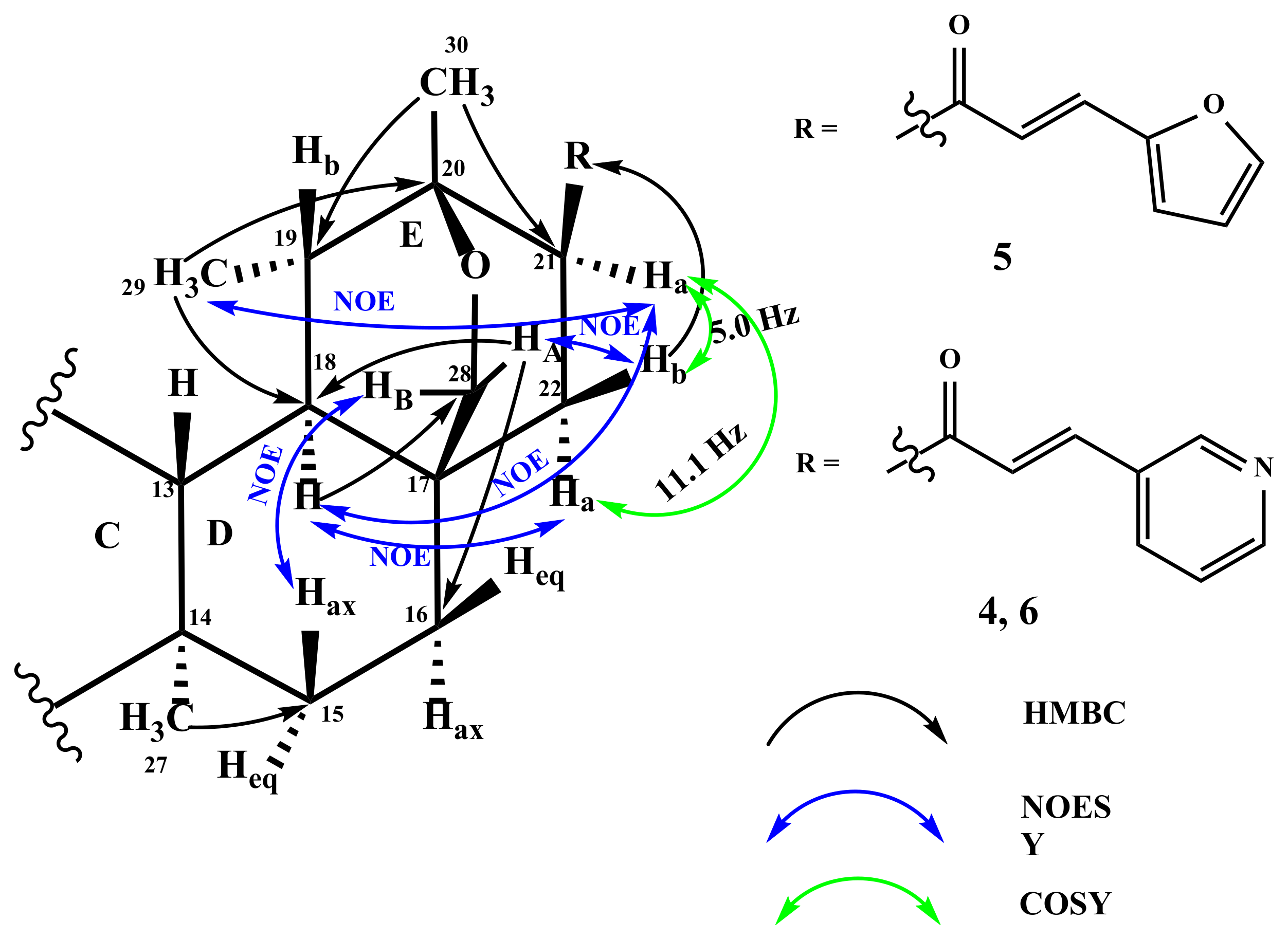 Ijms 22 10695 g003 550