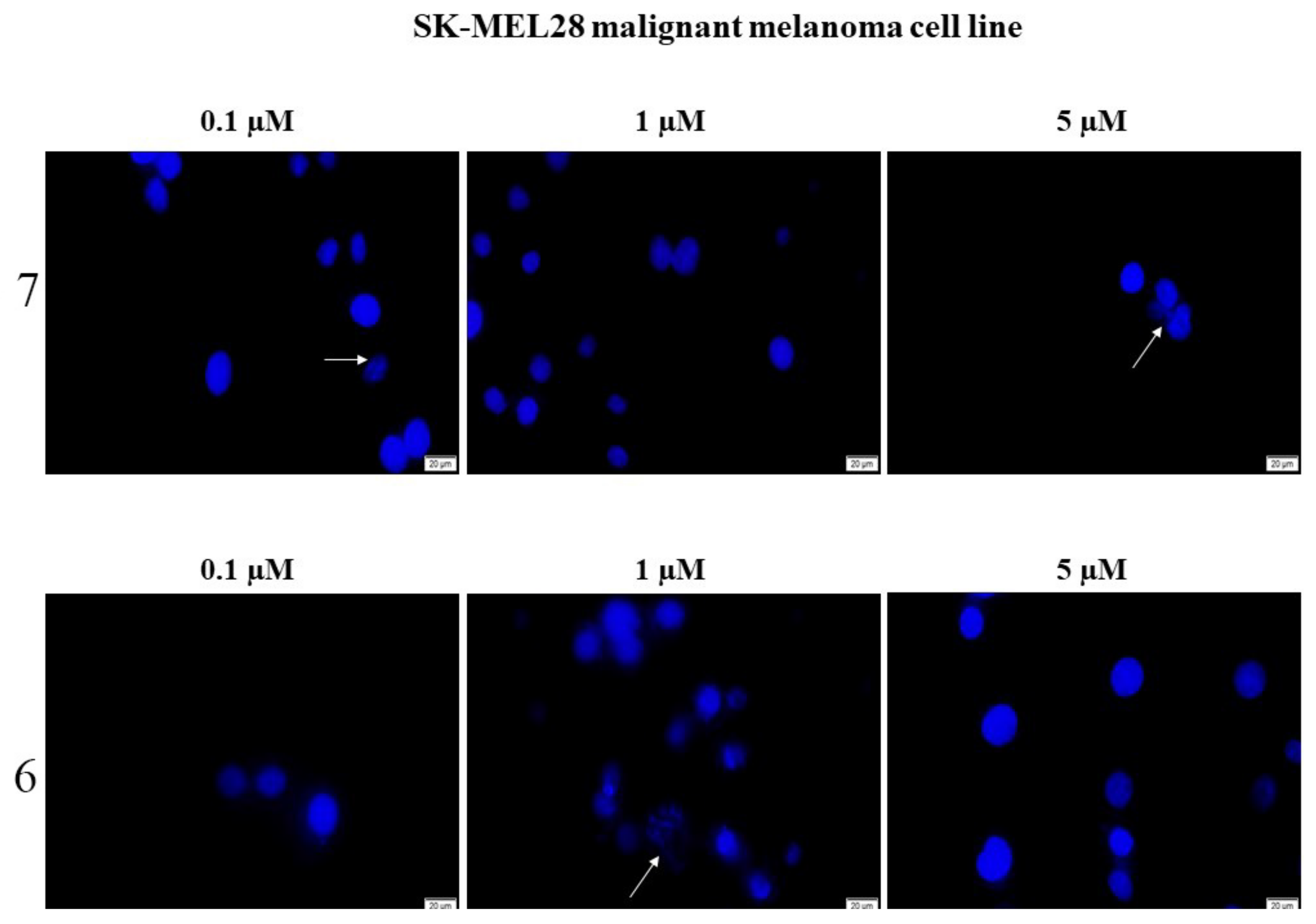 Ijms 22 10695 g008 550