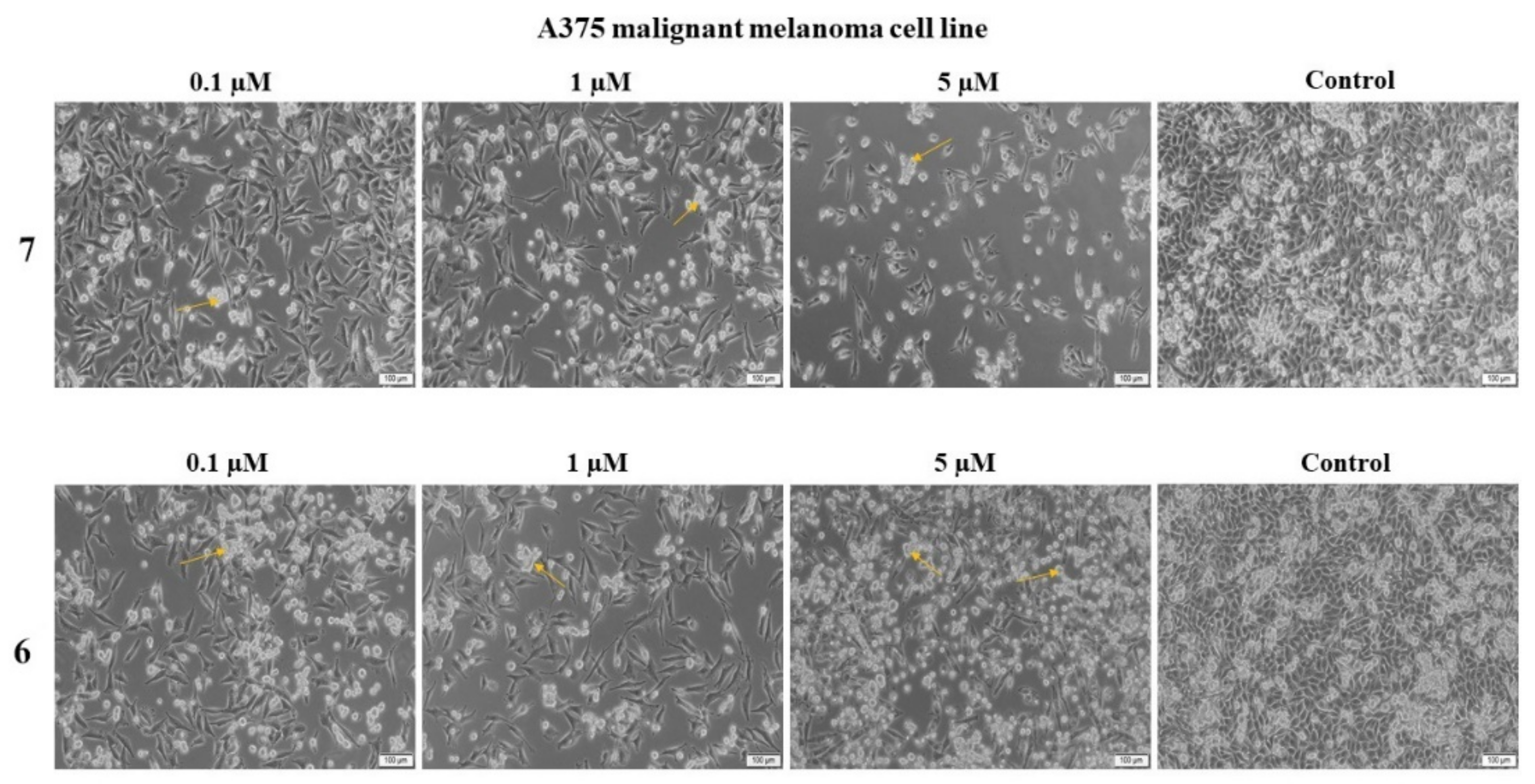 Ijms 22 10695 g009 550