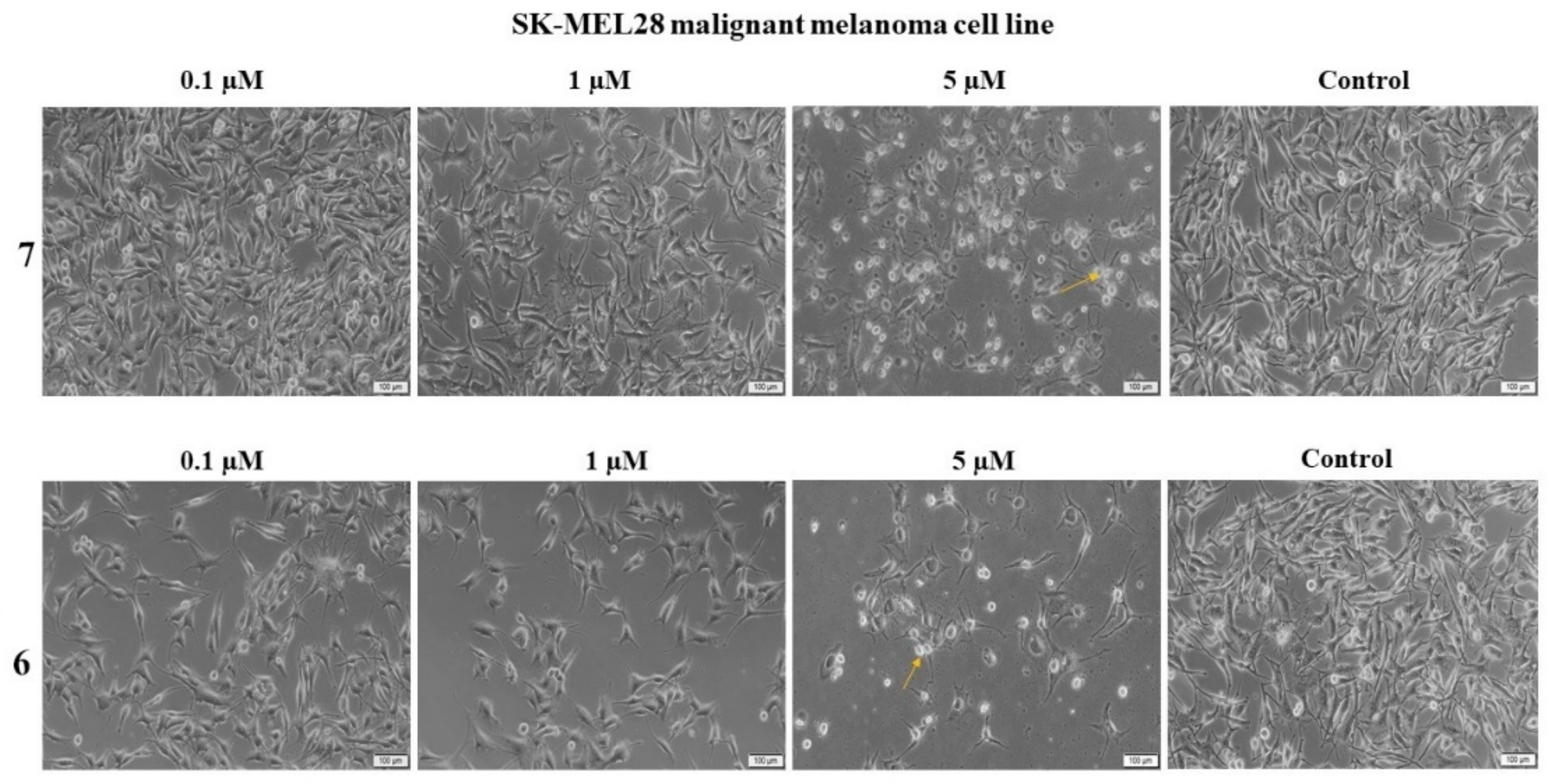 Ijms 22 10695 g011 550