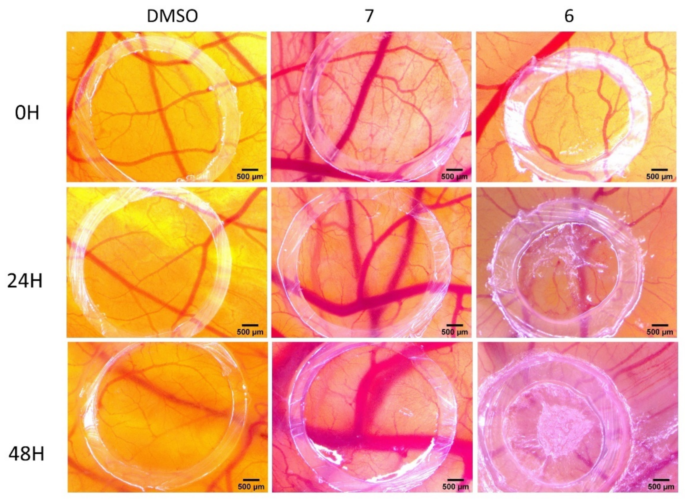 Ijms 22 10695 g015 550