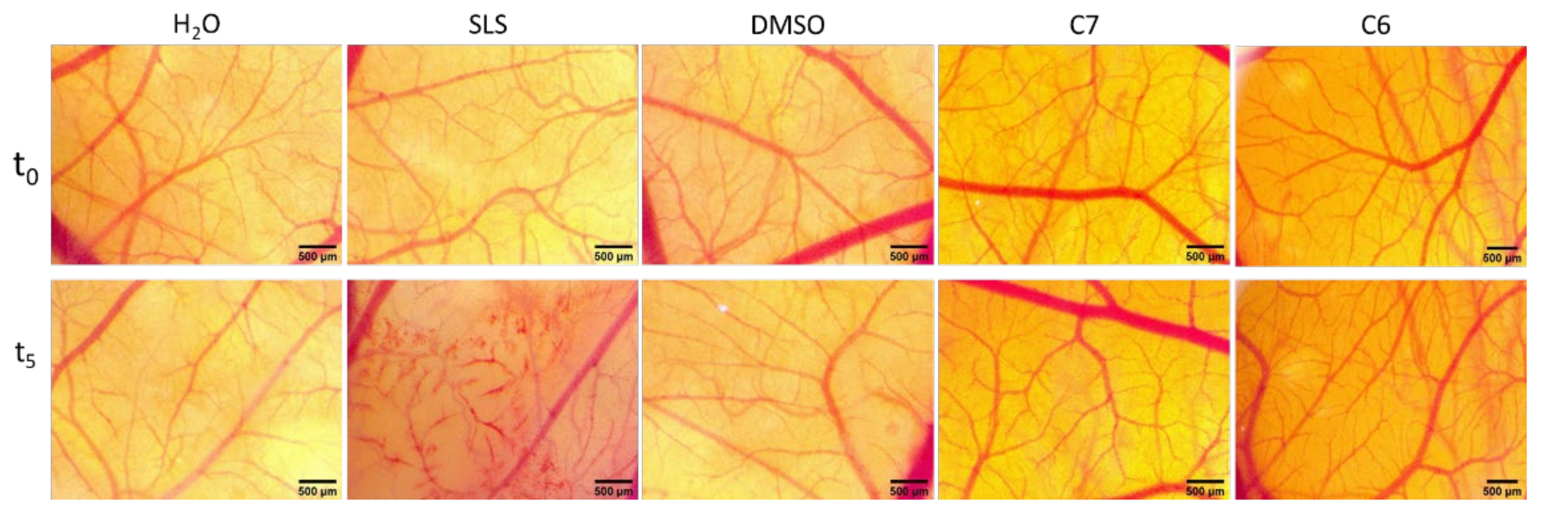 Ijms 22 10695 g016 550