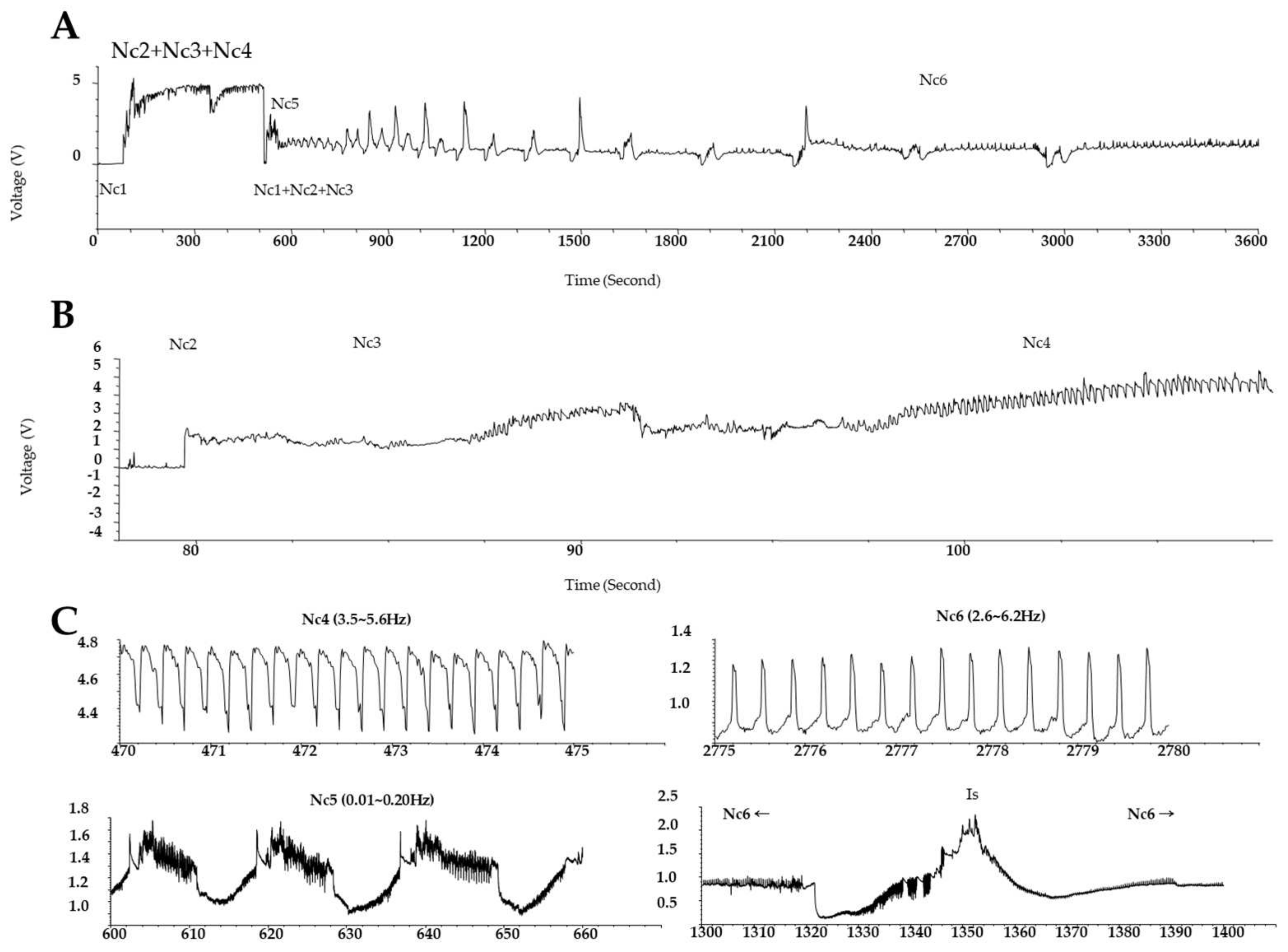 Ijms 22 10696 g001 Ijms 22 10696 g001