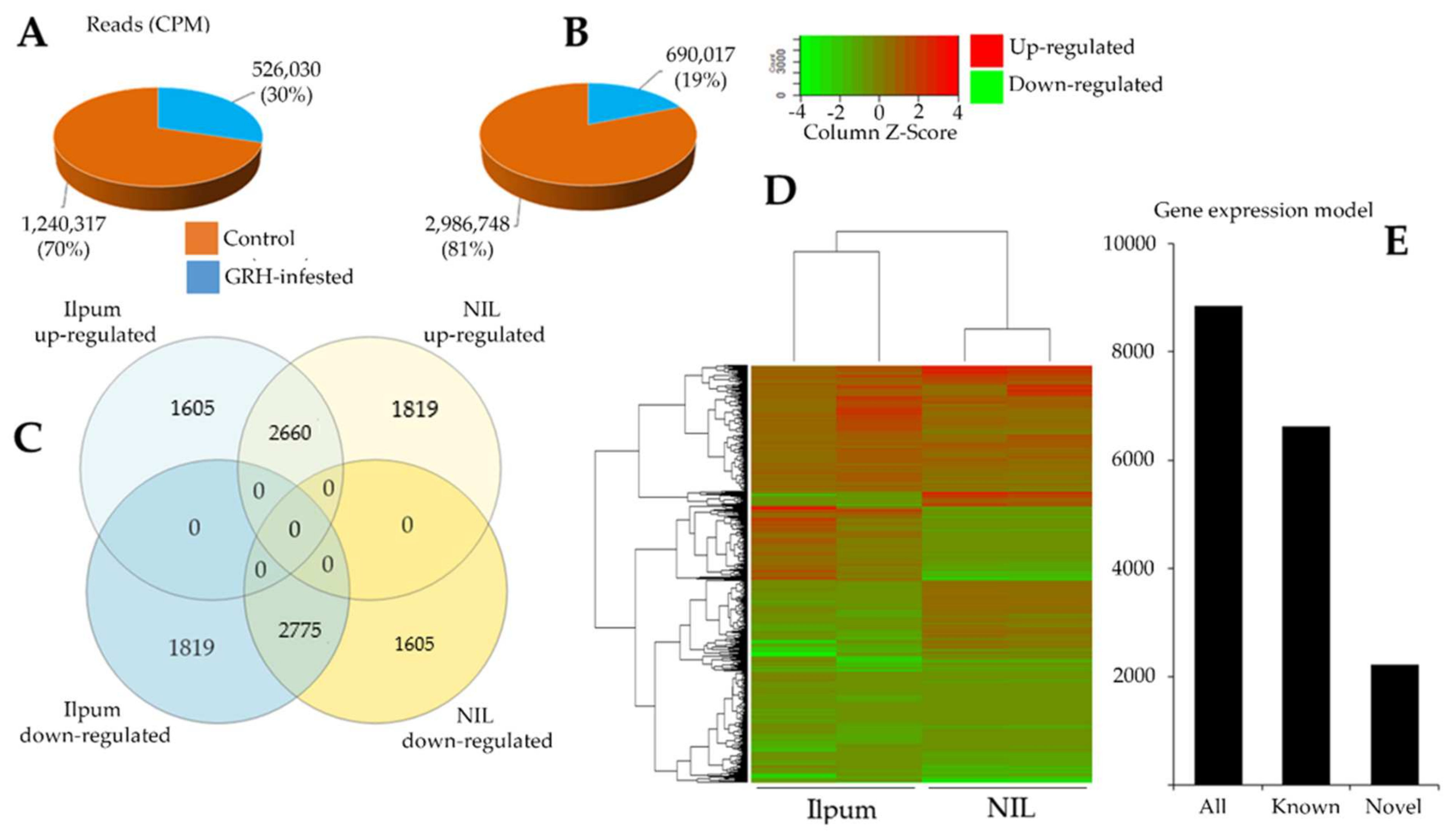 Ijms 22 10696 g003 Ijms 22 10696 g003