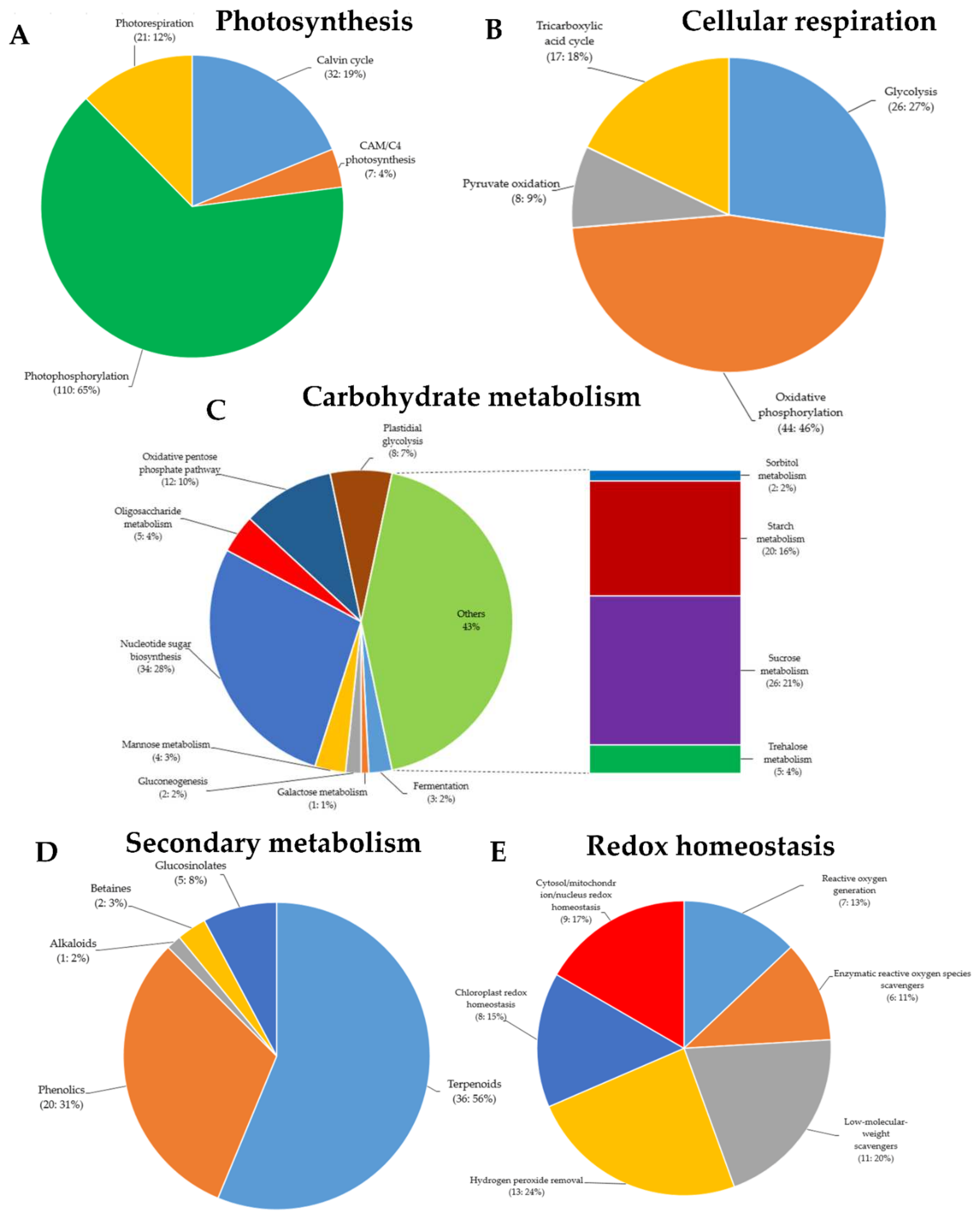 Ijms 22 10696 g004a Ijms 22 10696 g004a