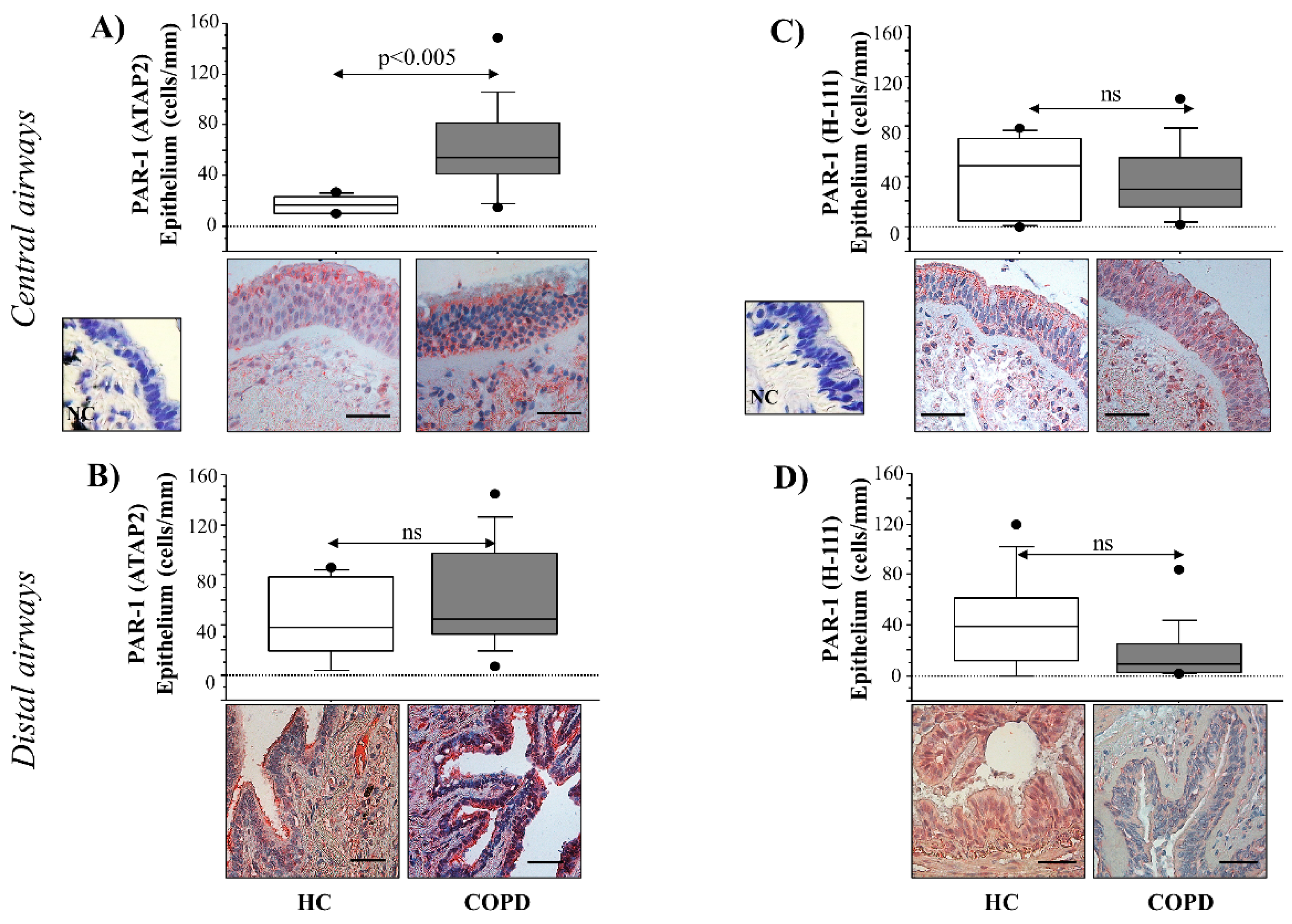 Ijms 22 10703 g001 550