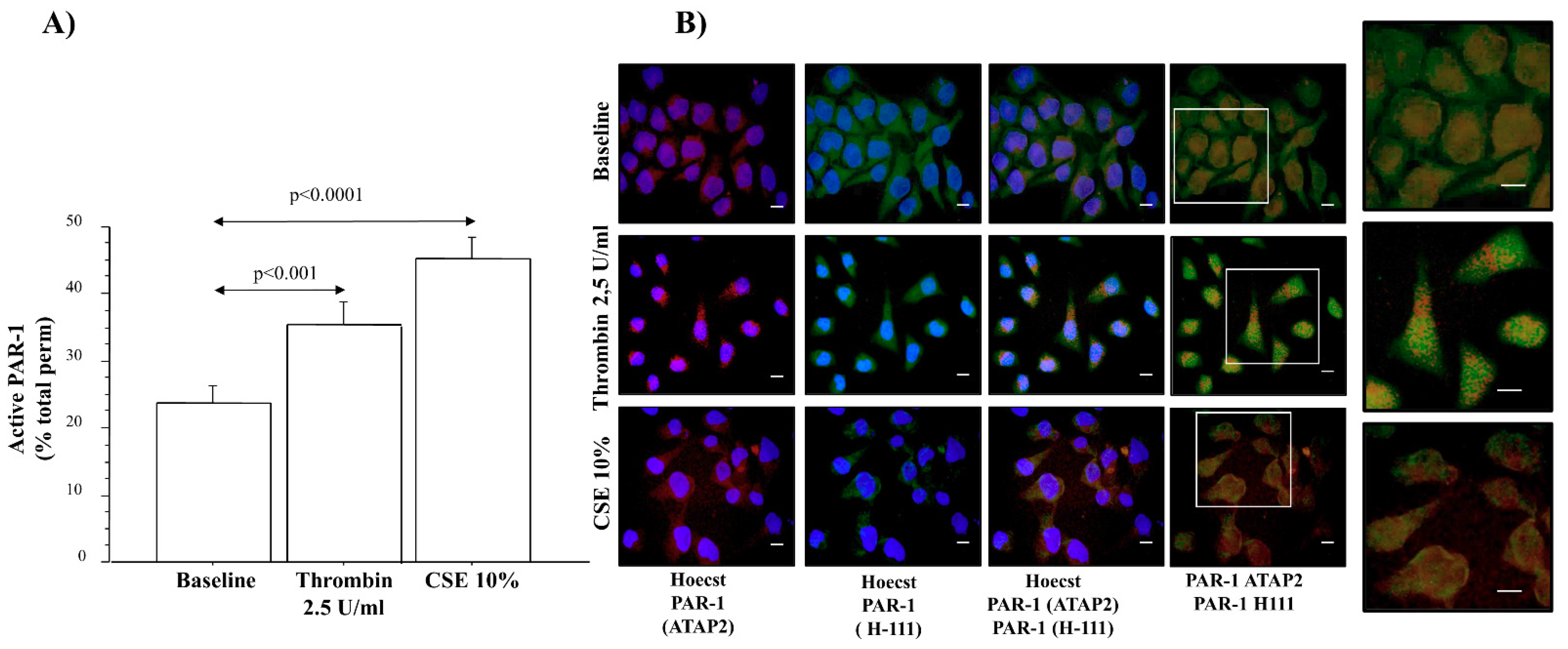 Ijms 22 10703 g006 550