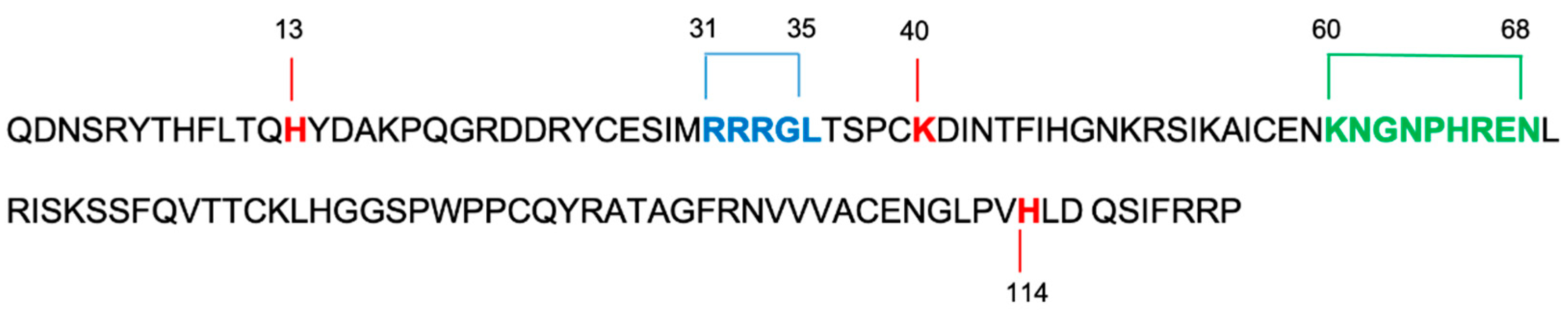 Ijms 22 10704 g002 Ijms 22 10704 g002