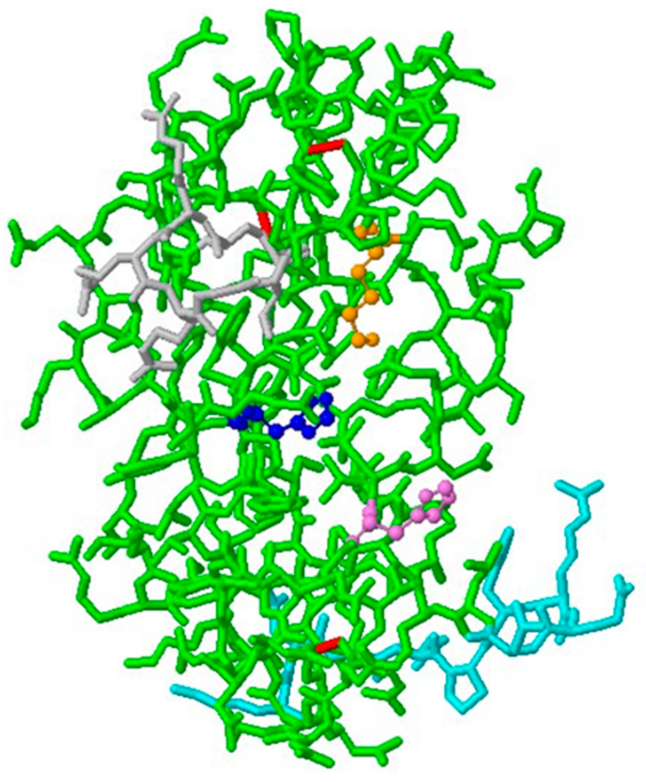 Ijms 22 10704 g003 Ijms 22 10704 g003