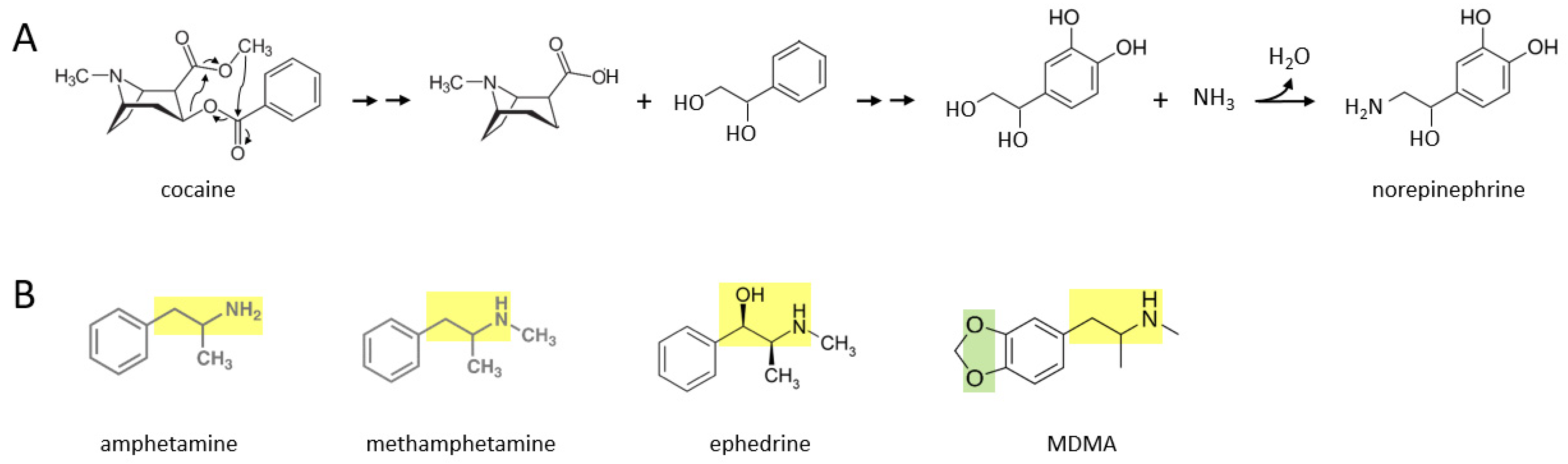 Ijms 22 10706 g001 550