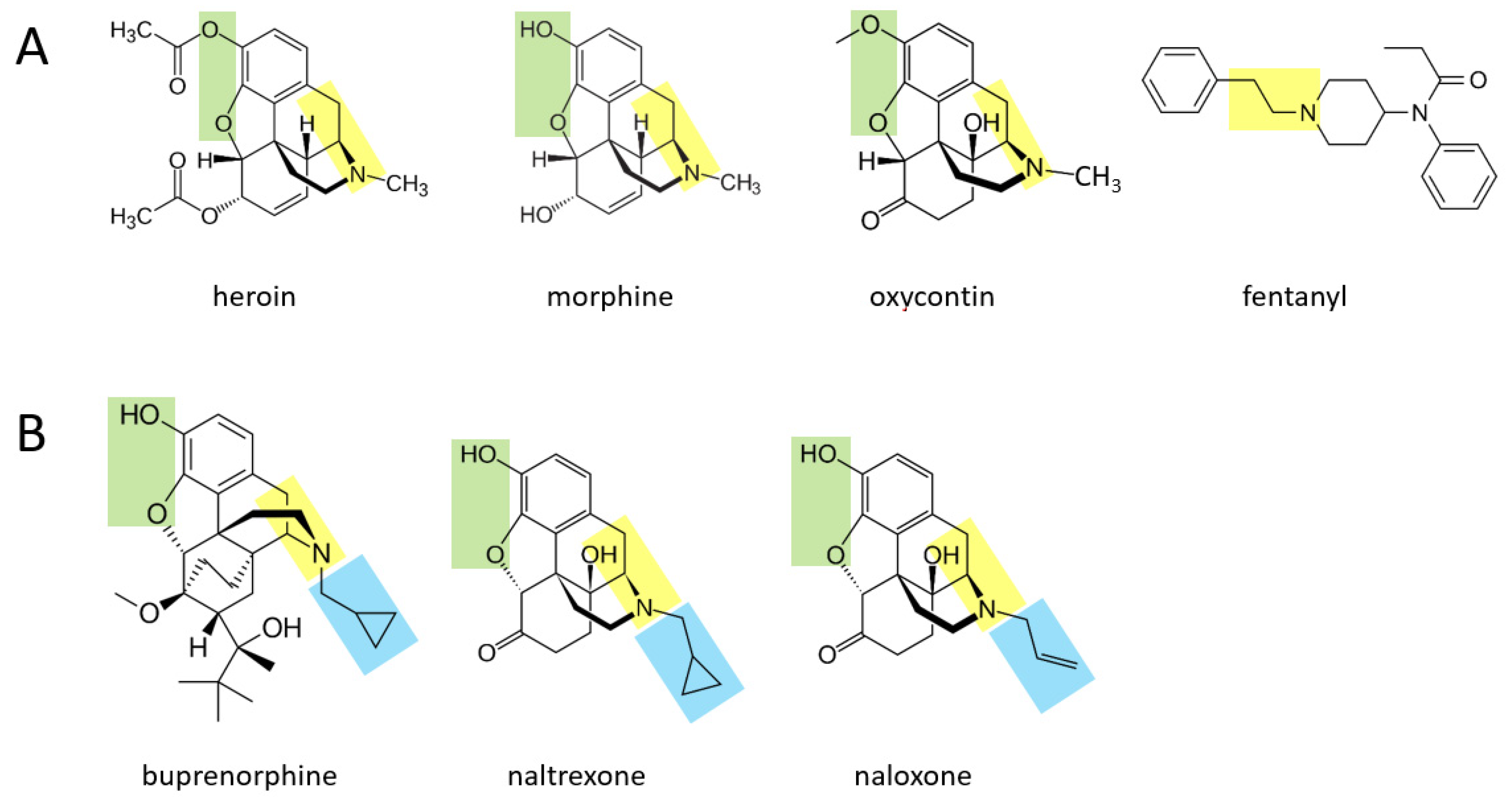 Ijms 22 10706 g002 550