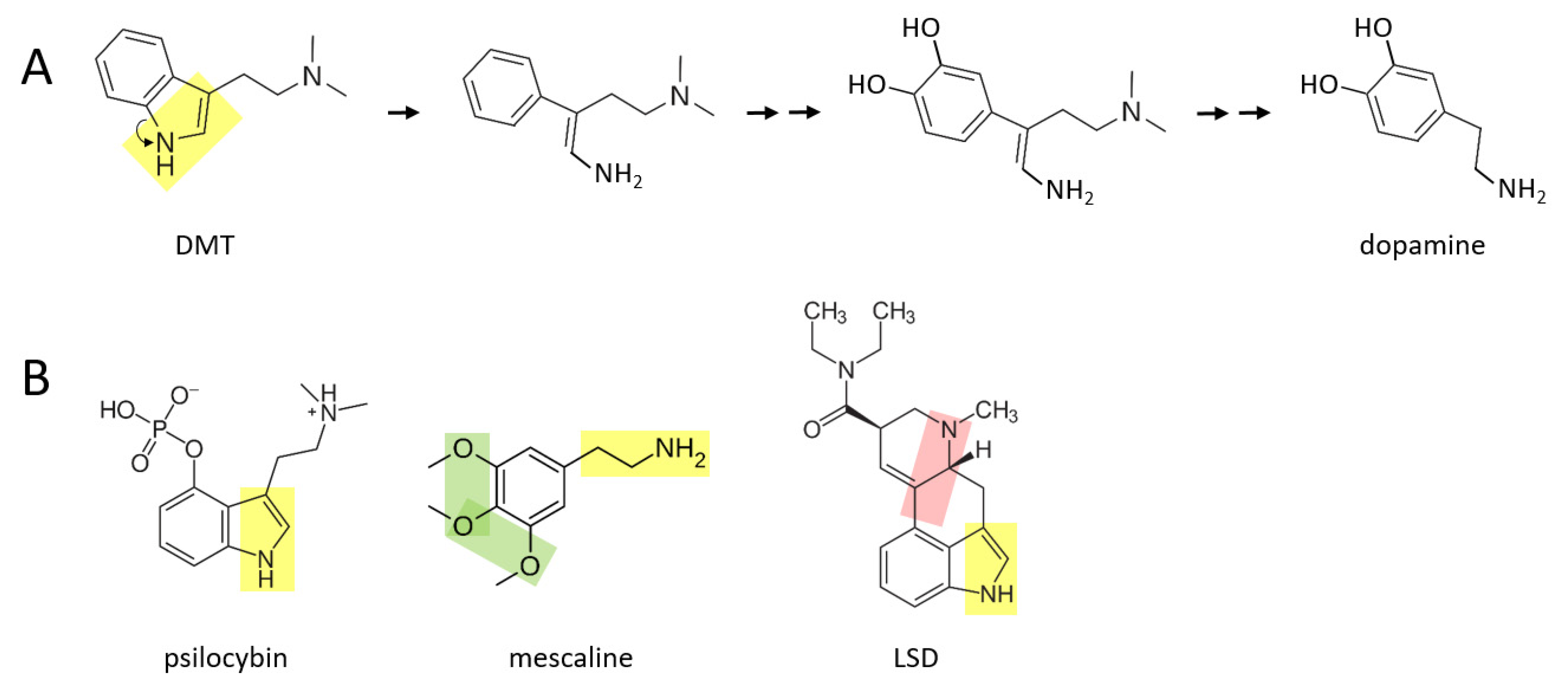 Ijms 22 10706 g003 550