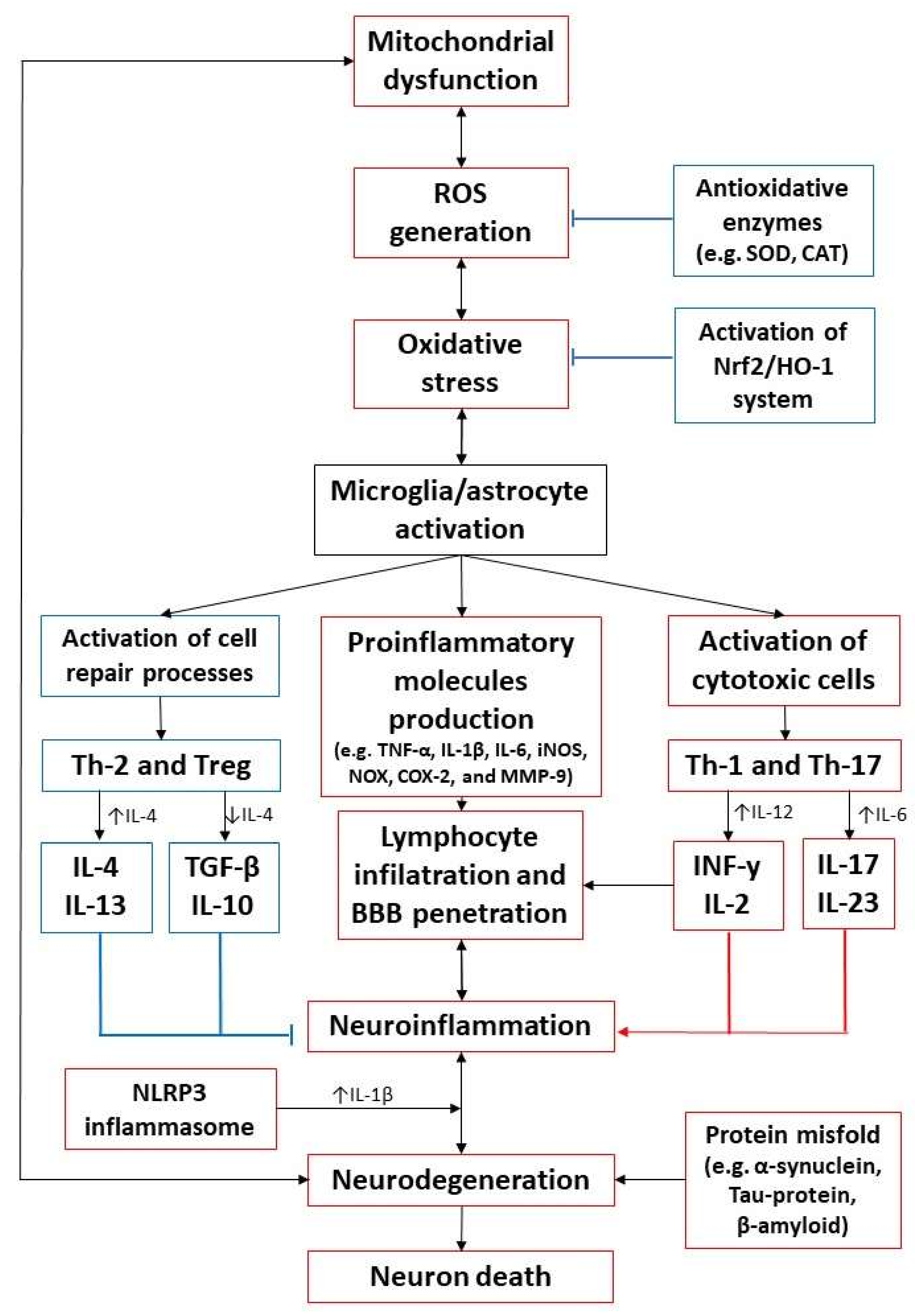 Ijms 22 10707 g001 550