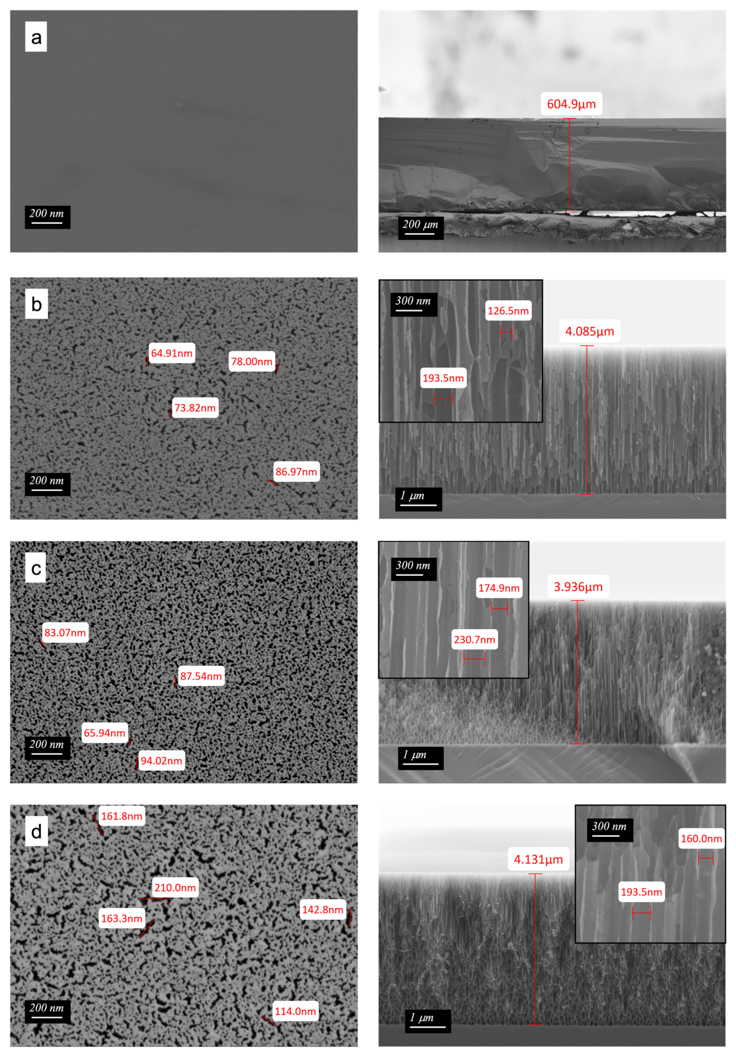 Ijms 22 10709 g001 550