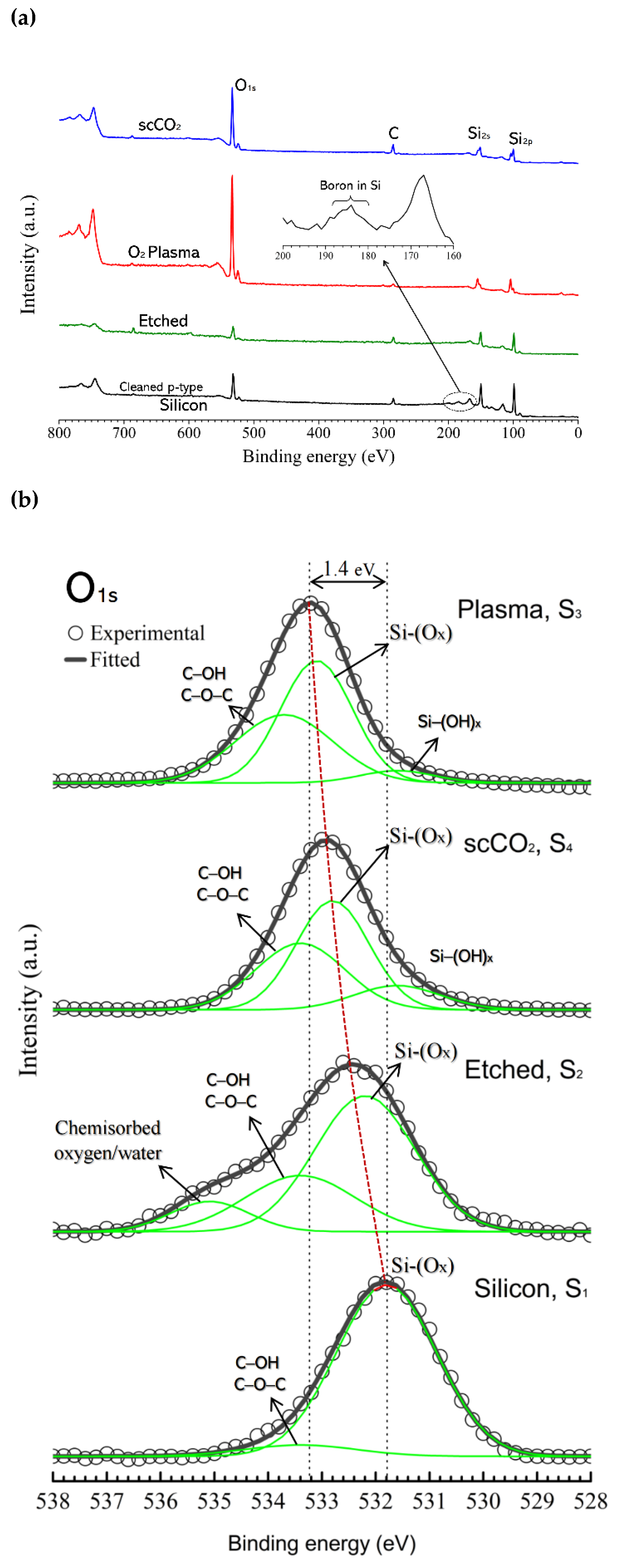 Ijms 22 10709 g002 550