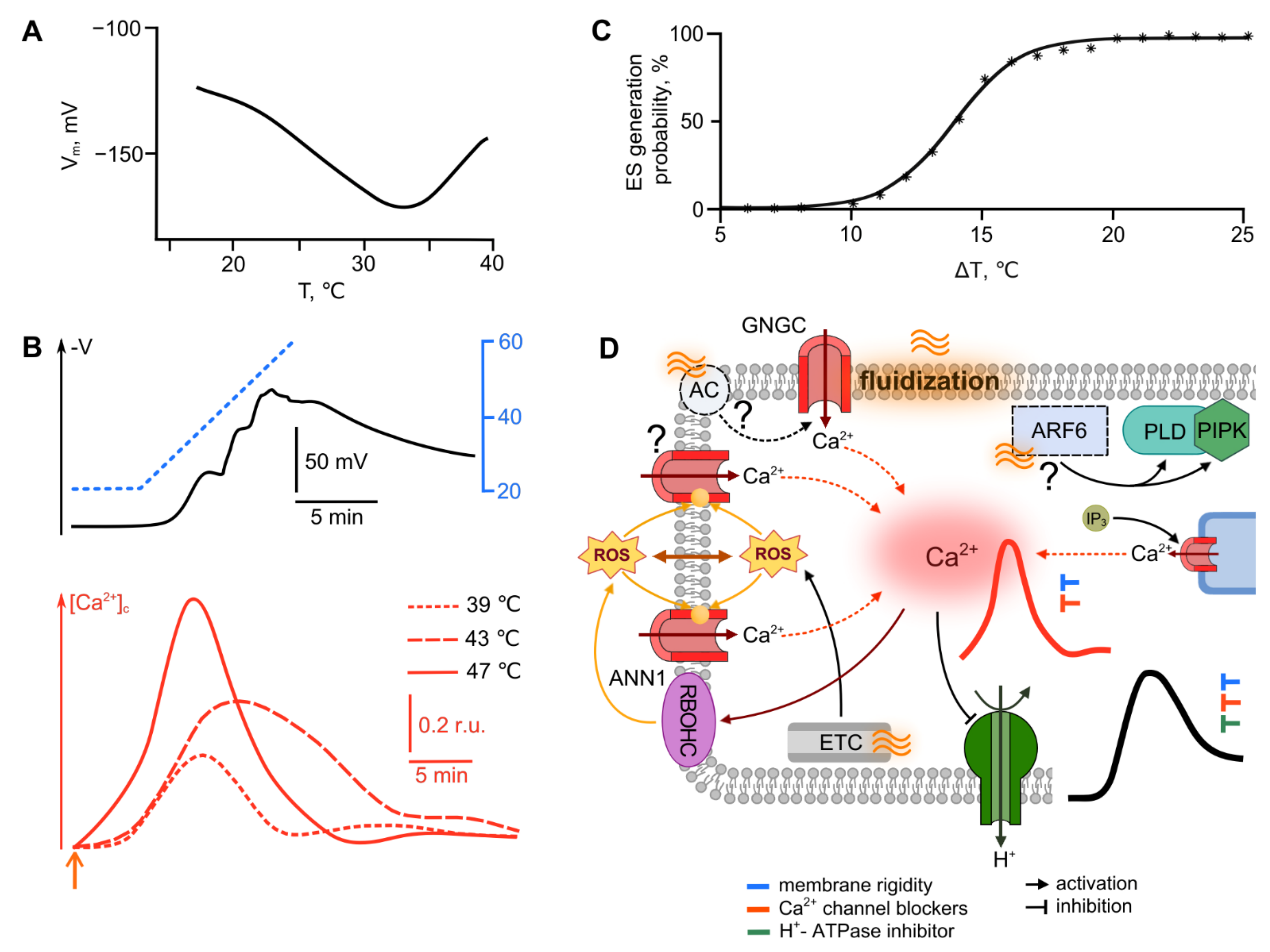 Ijms 22 10715 g002 Ijms 22 10715 g002