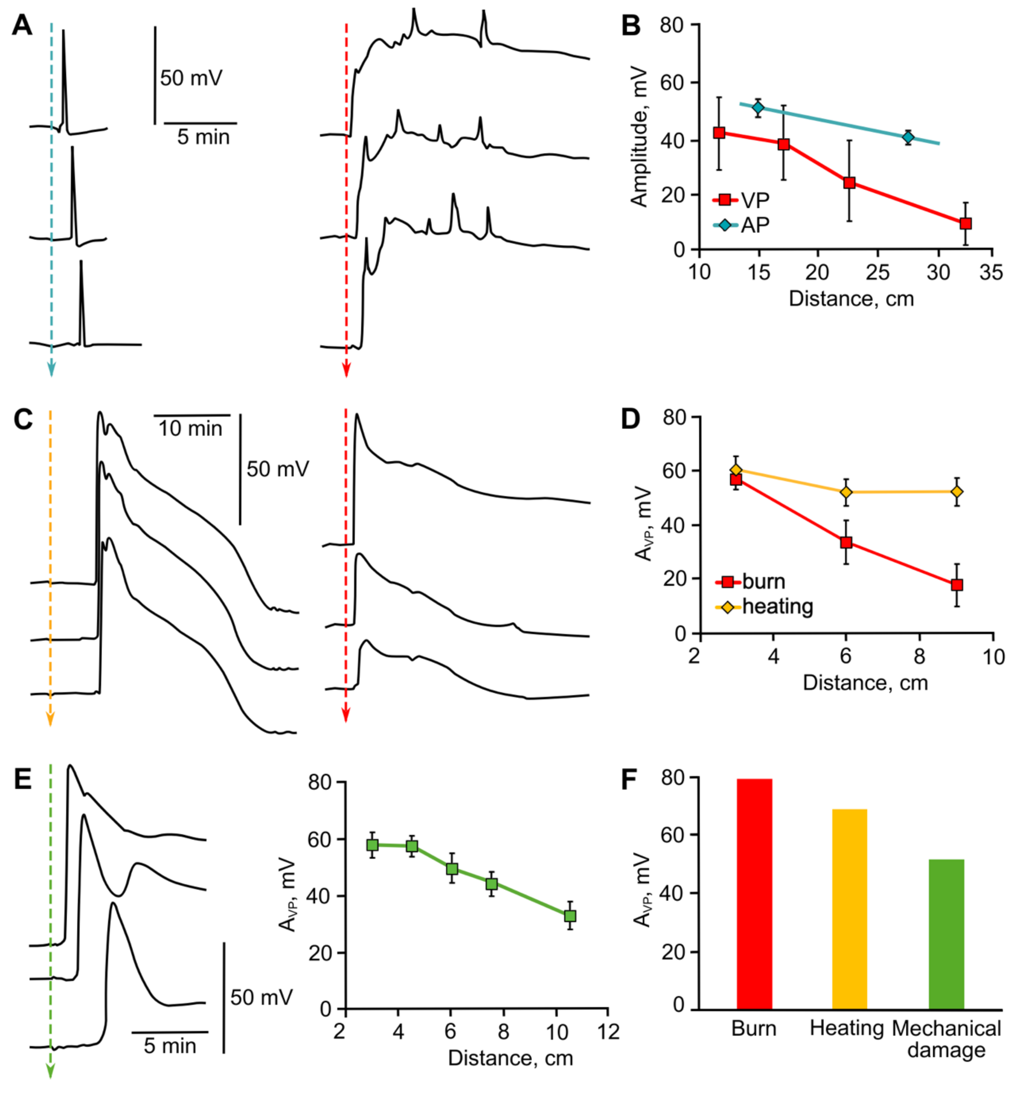 Ijms 22 10715 g006 Ijms 22 10715 g006