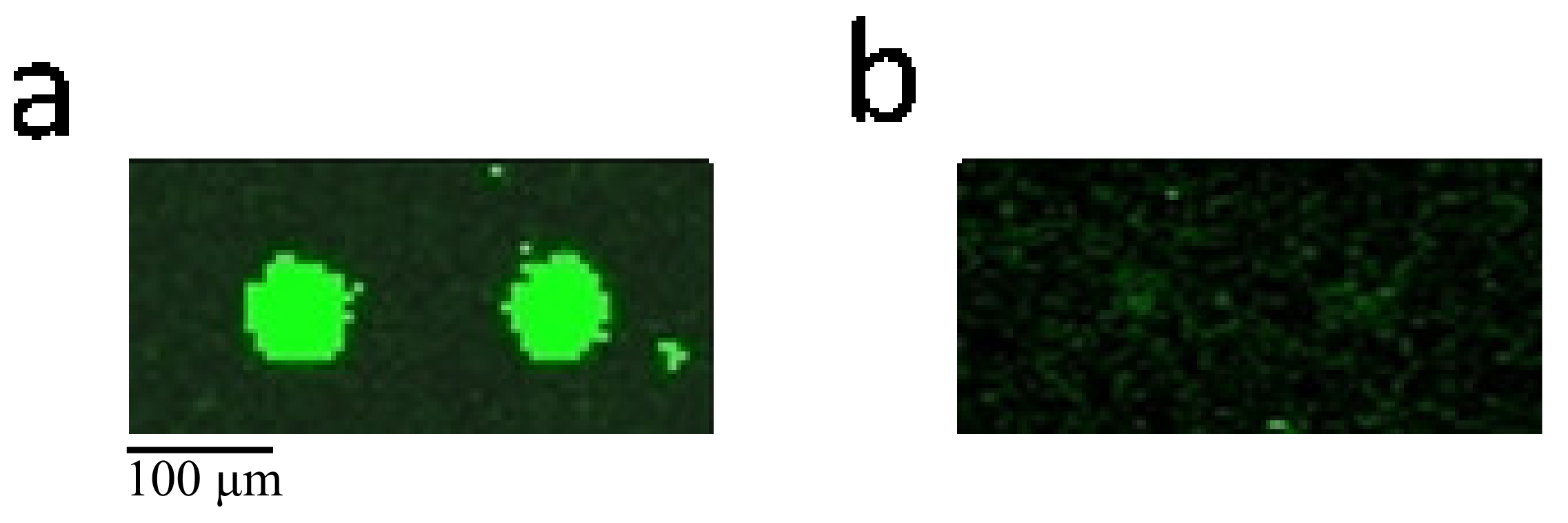 Ijms 22 10716 g002 550