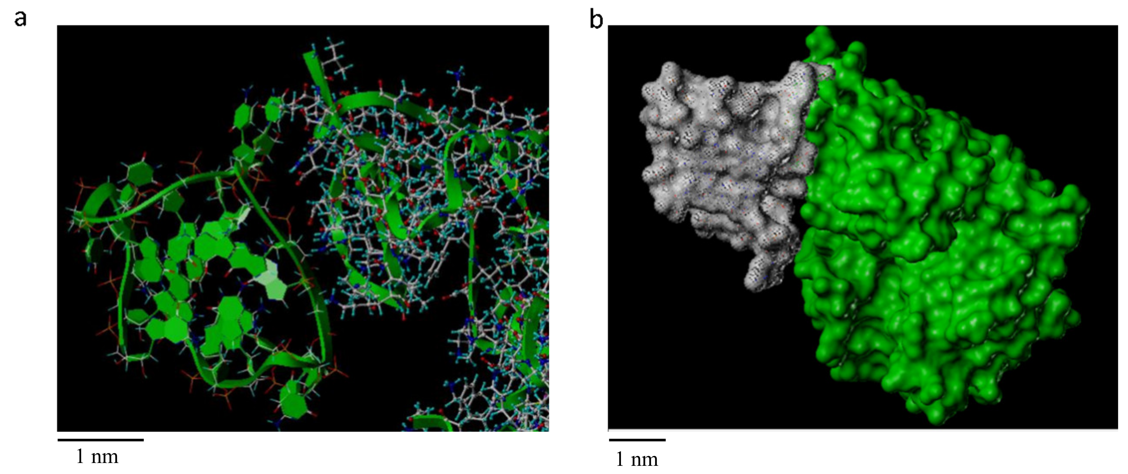 Ijms 22 10716 g003 550
