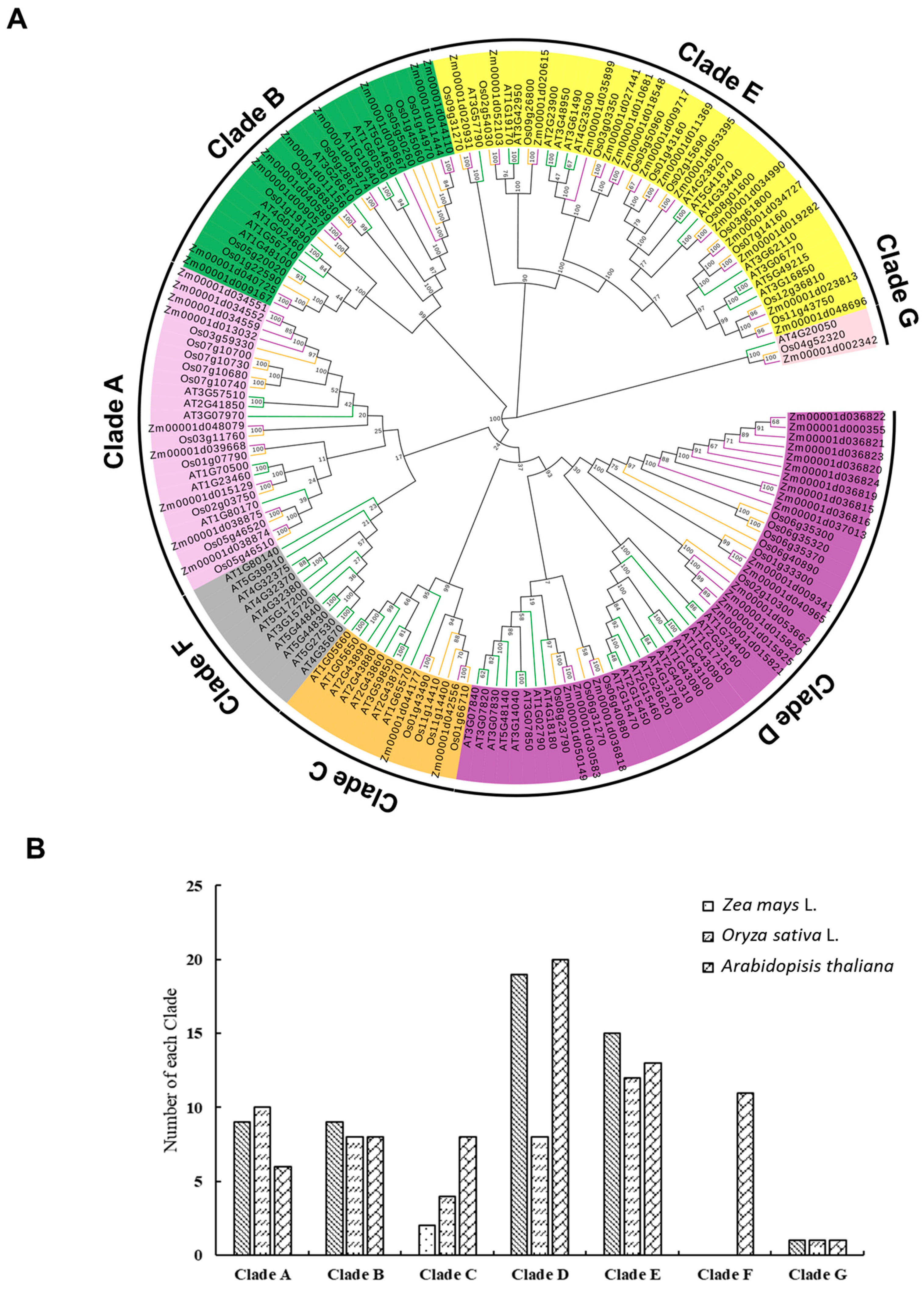 Ijms 22 10722 g001 550