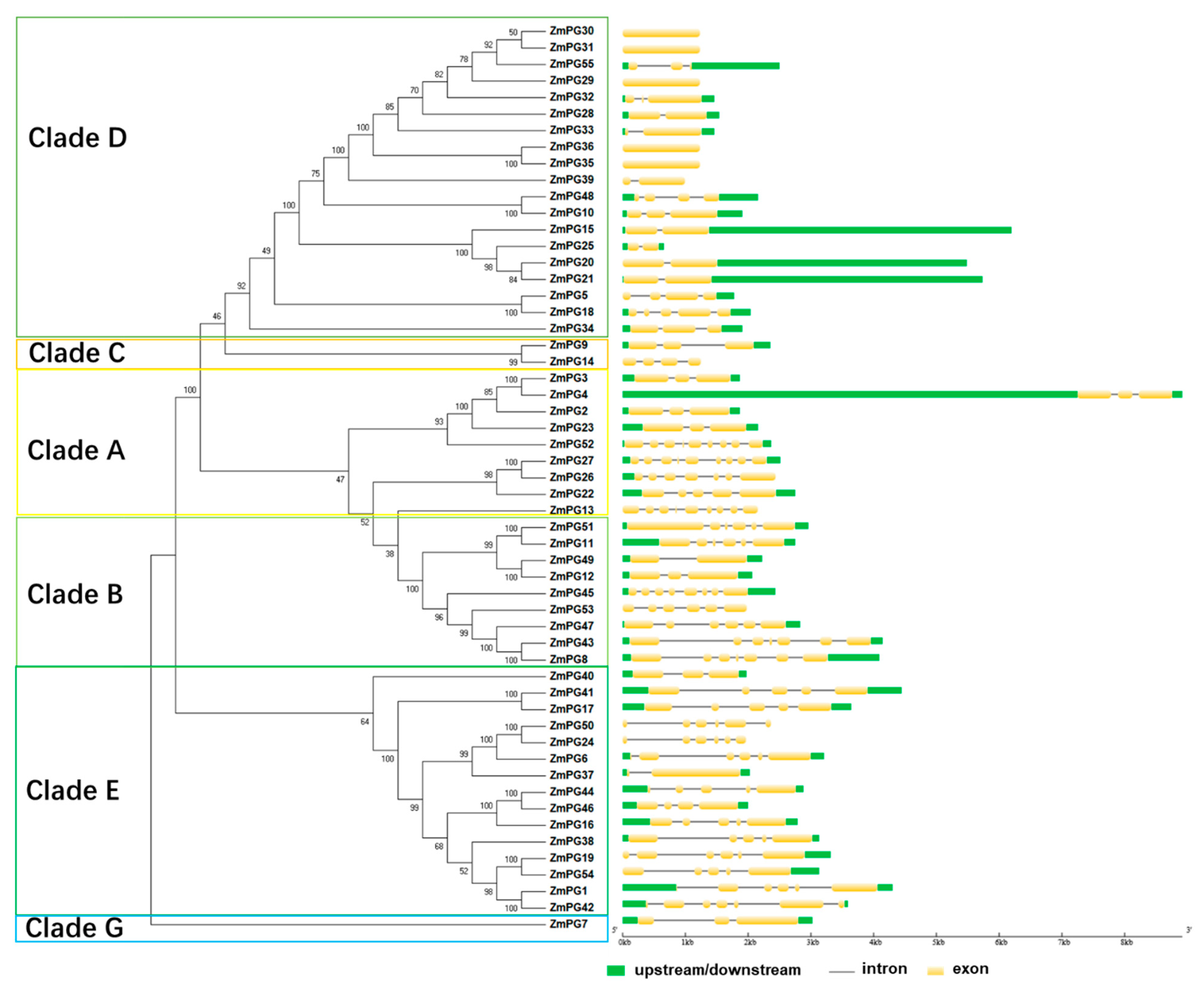 Ijms 22 10722 g002 550