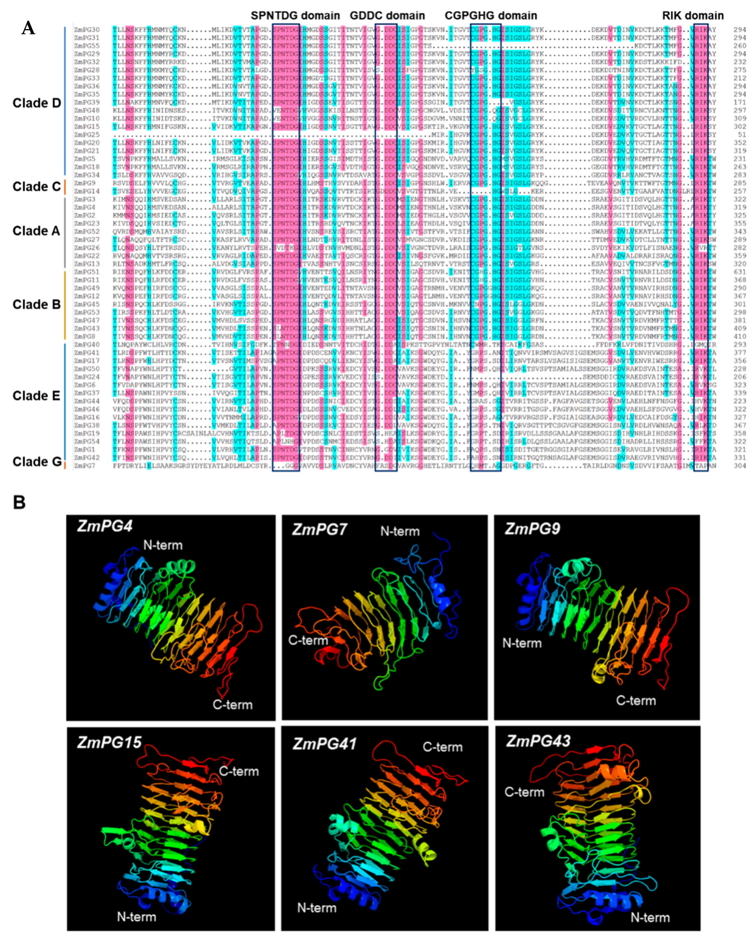 Ijms 22 10722 g006 550