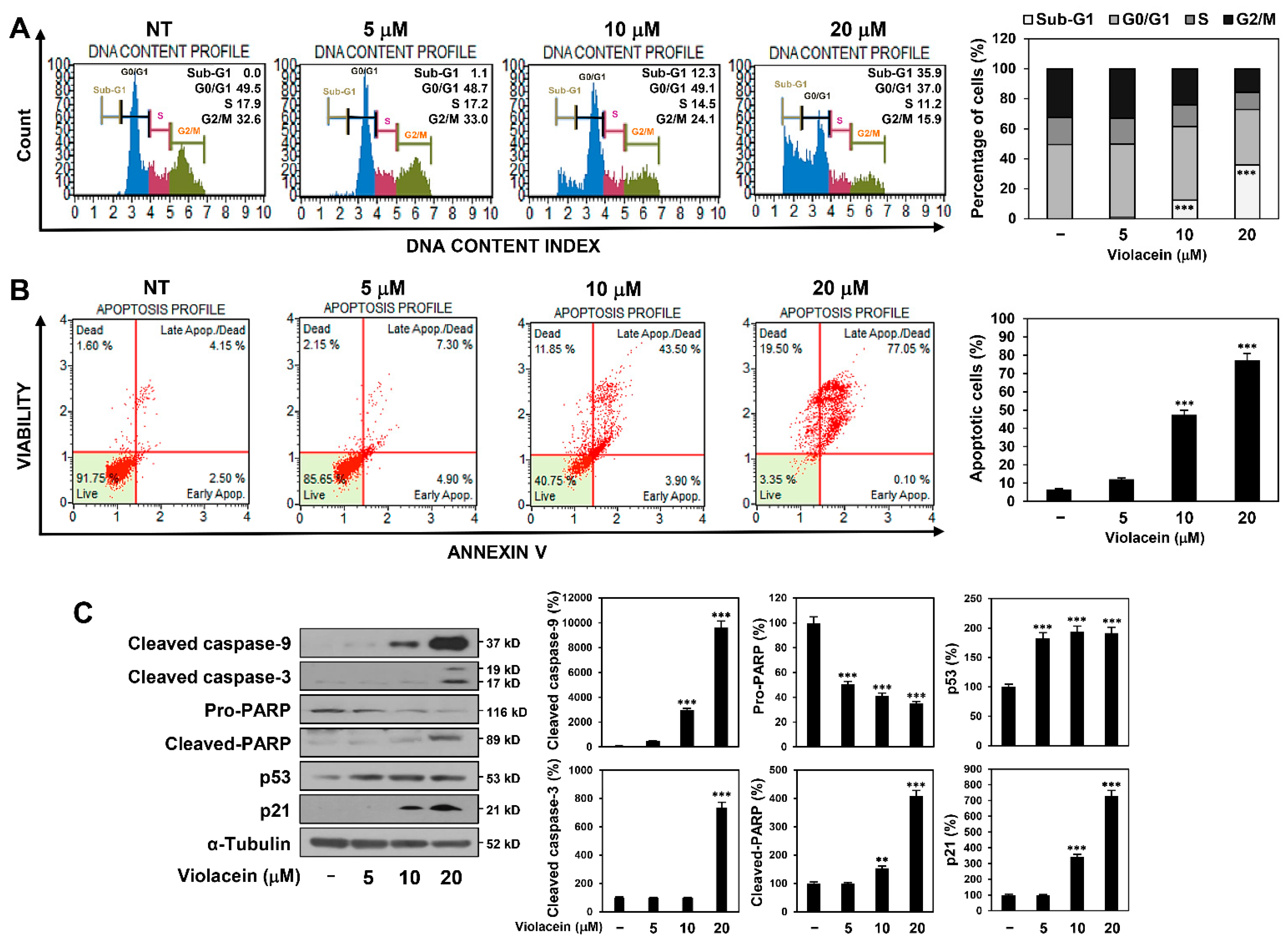 Ijms 22 10731 g003 550