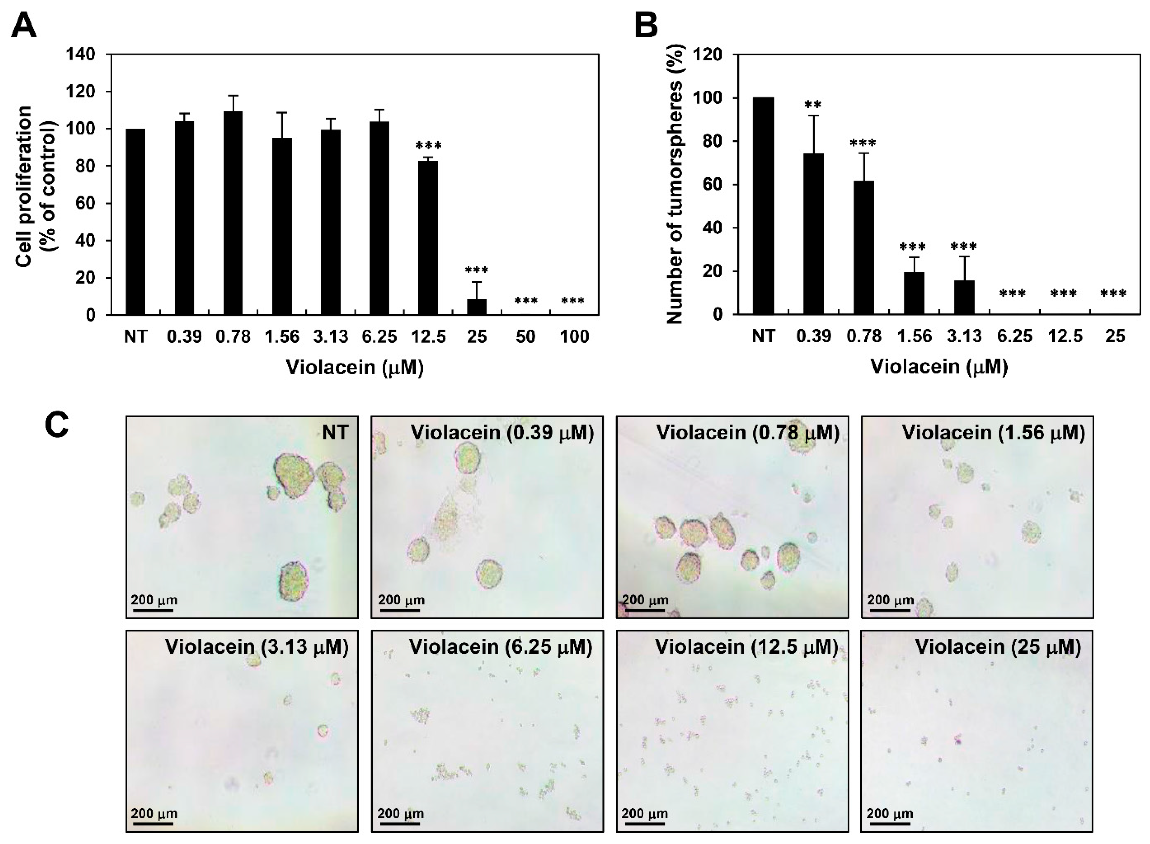 Ijms 22 10731 g005 550