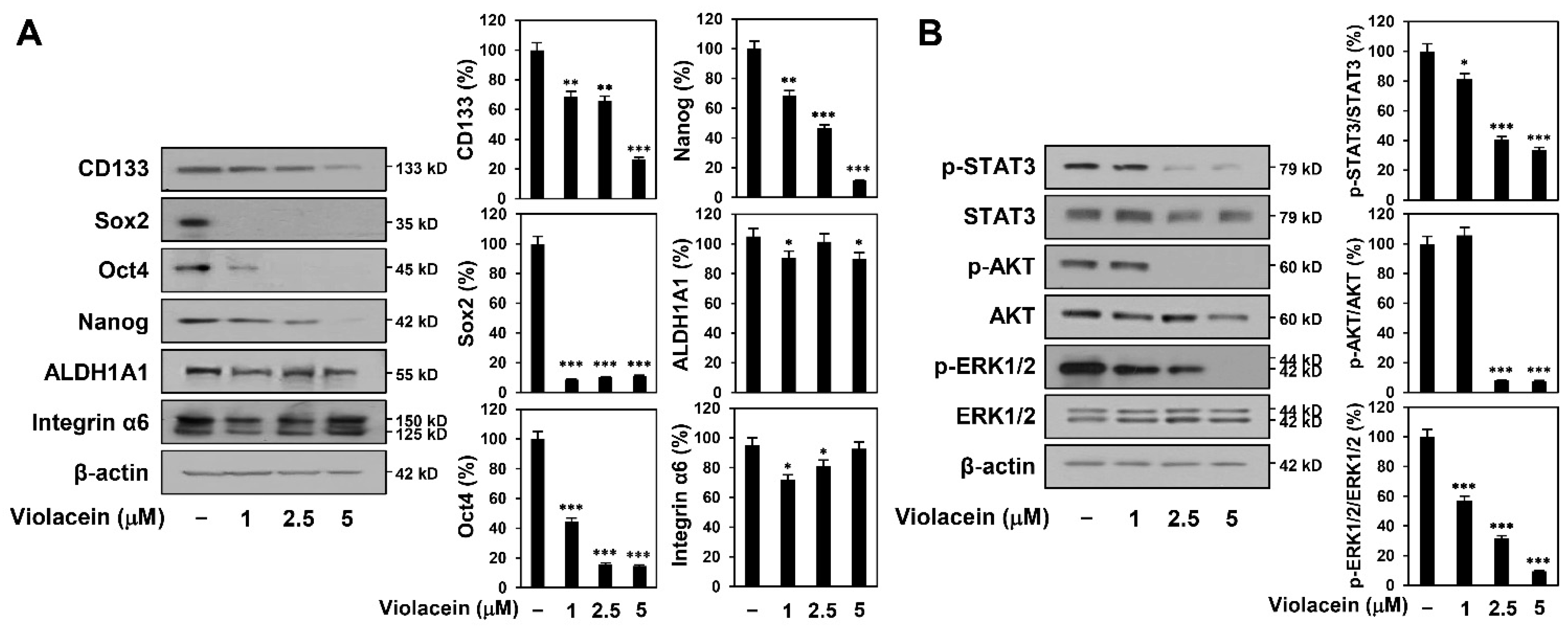 Ijms 22 10731 g006 550