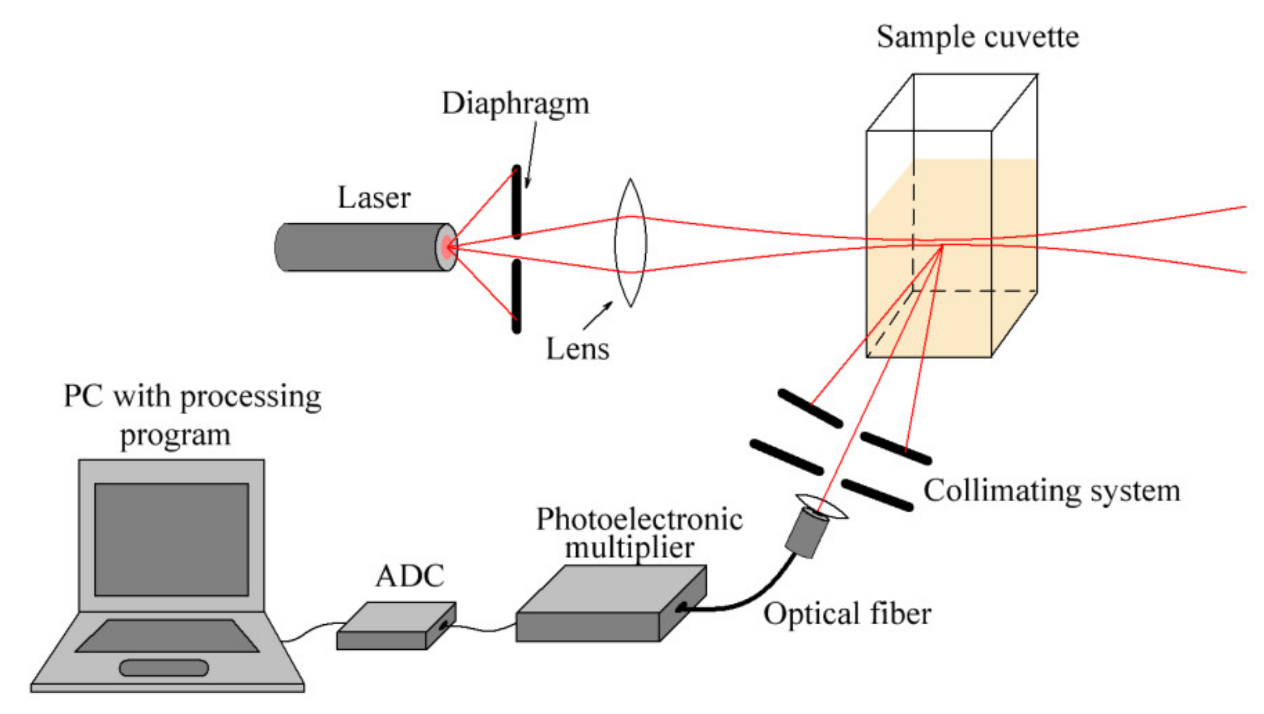 Ijms 22 10734 g001 Ijms 22 10734 g001