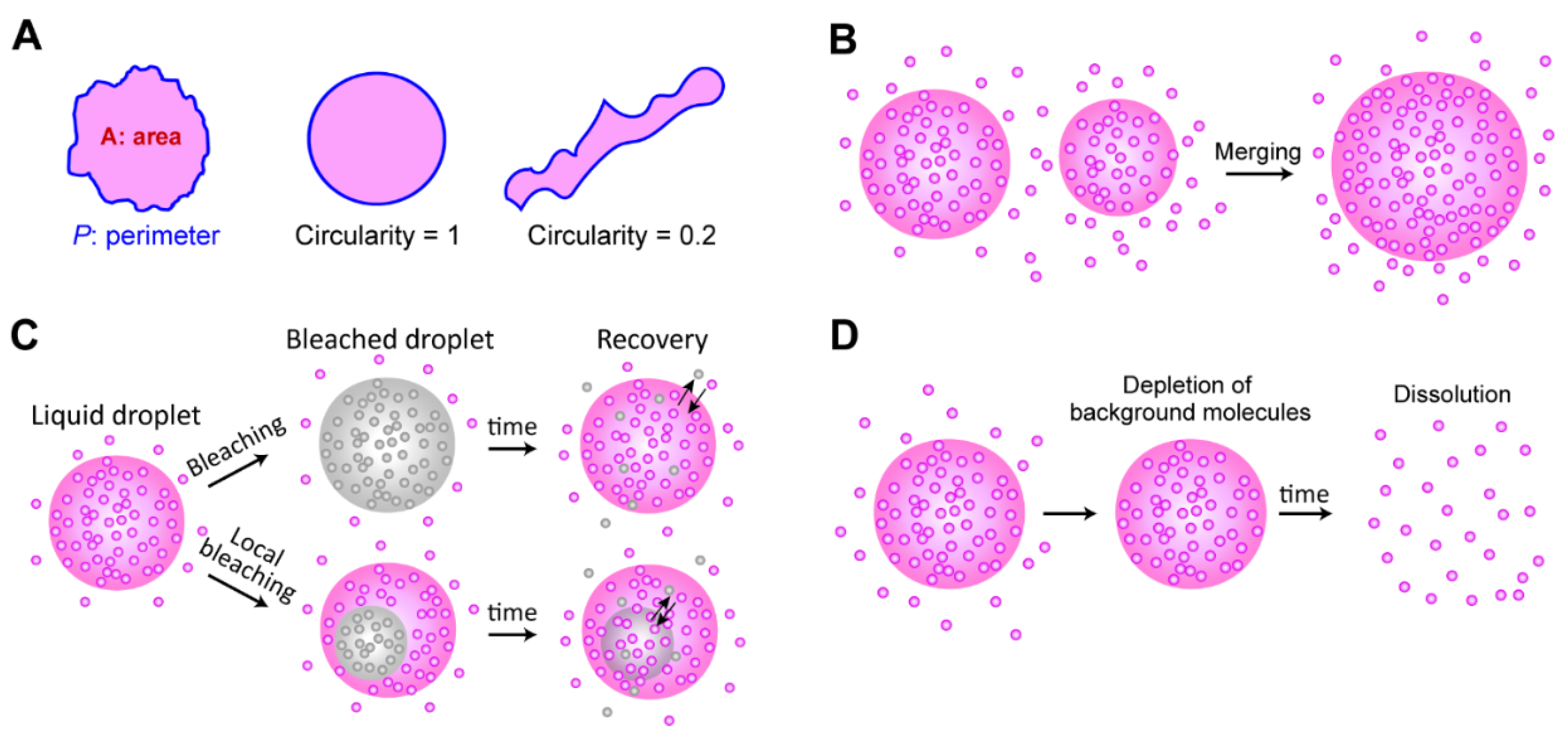 Ijms 22 10736 g004 550
