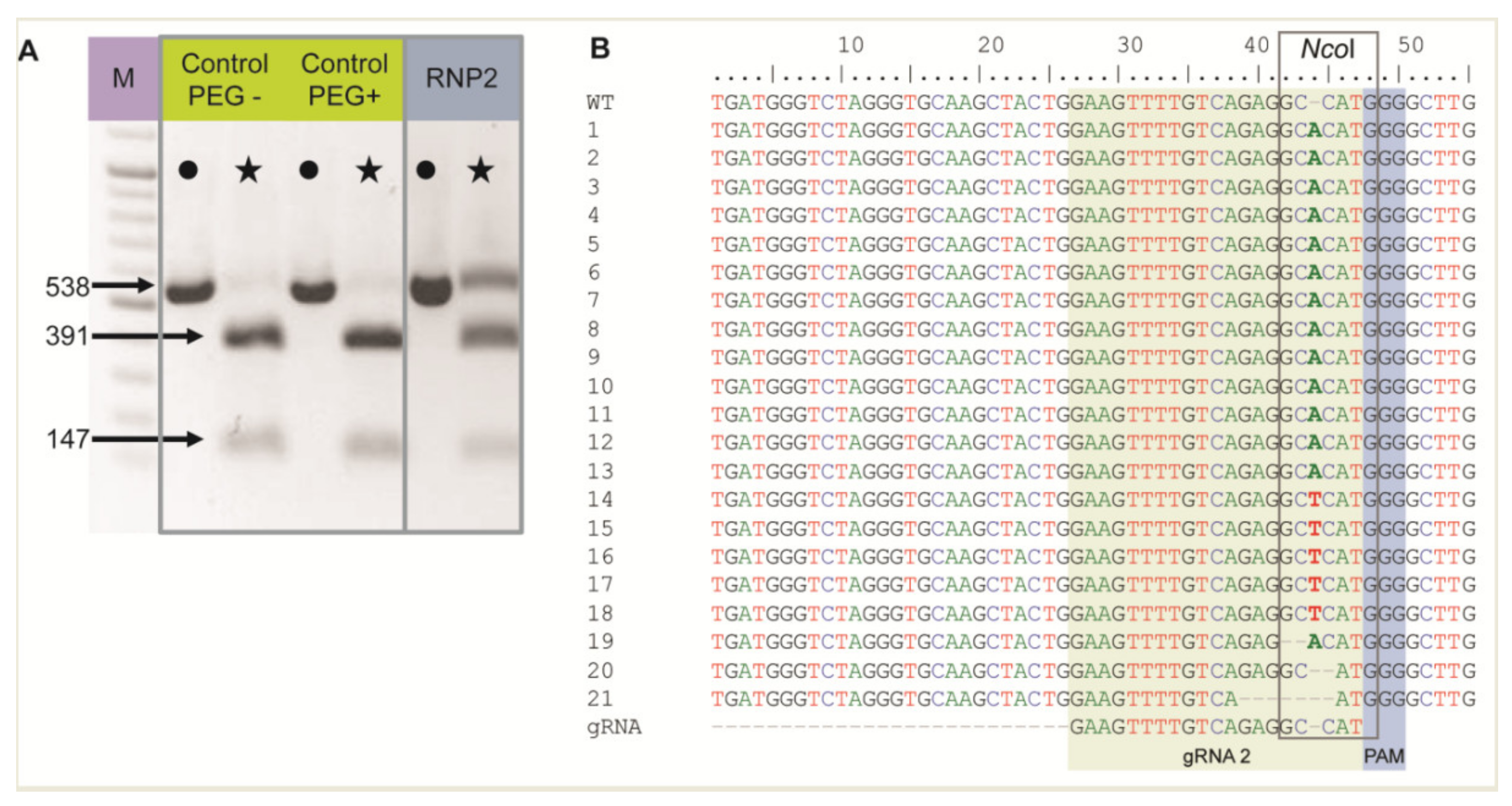 ncbi bioedit version 7.2.5 ncbi bioedit version 7.2.5