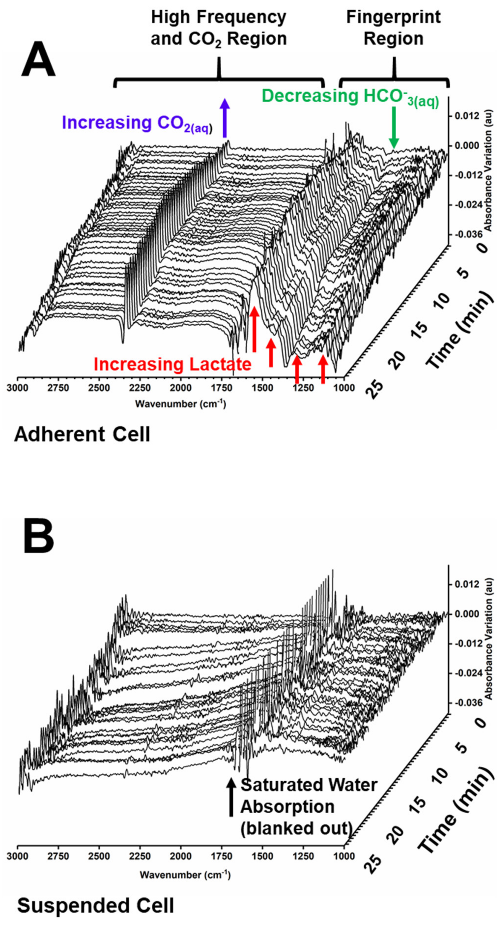 Ijms 22 10742 g001 550