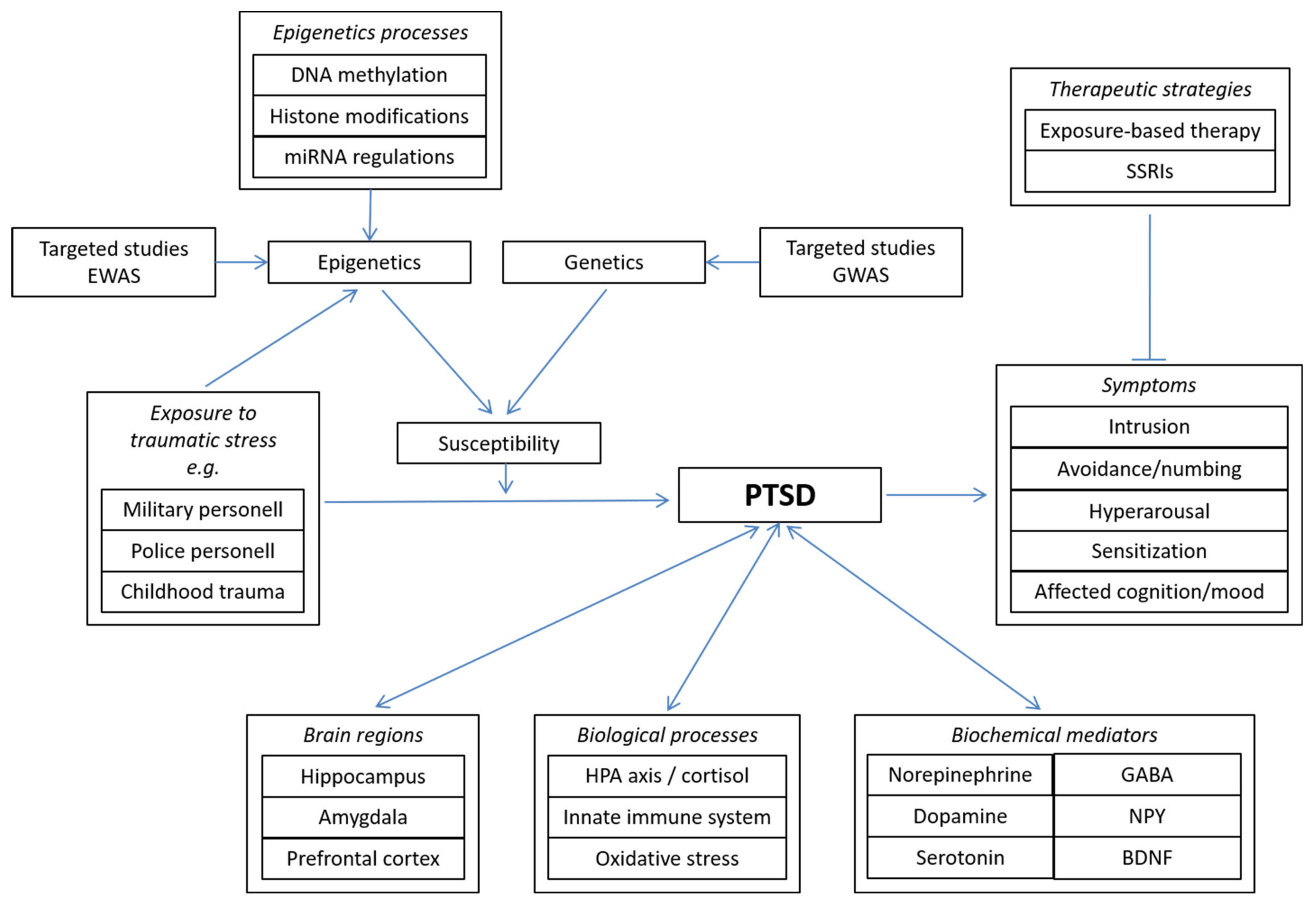 Ijms 22 10743 g001 Ijms 22 10743 g001