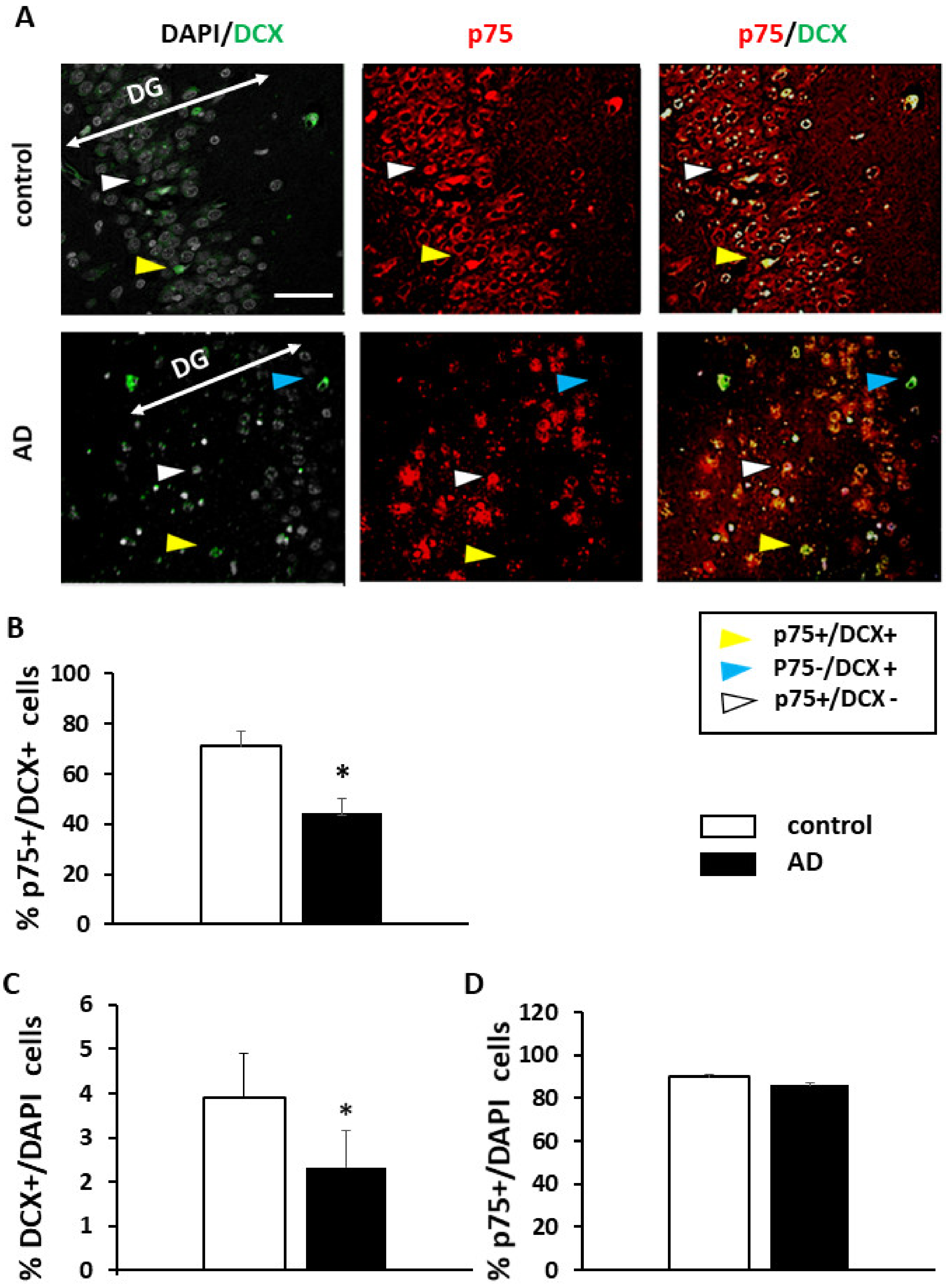 Ijms 22 10744 g001 550