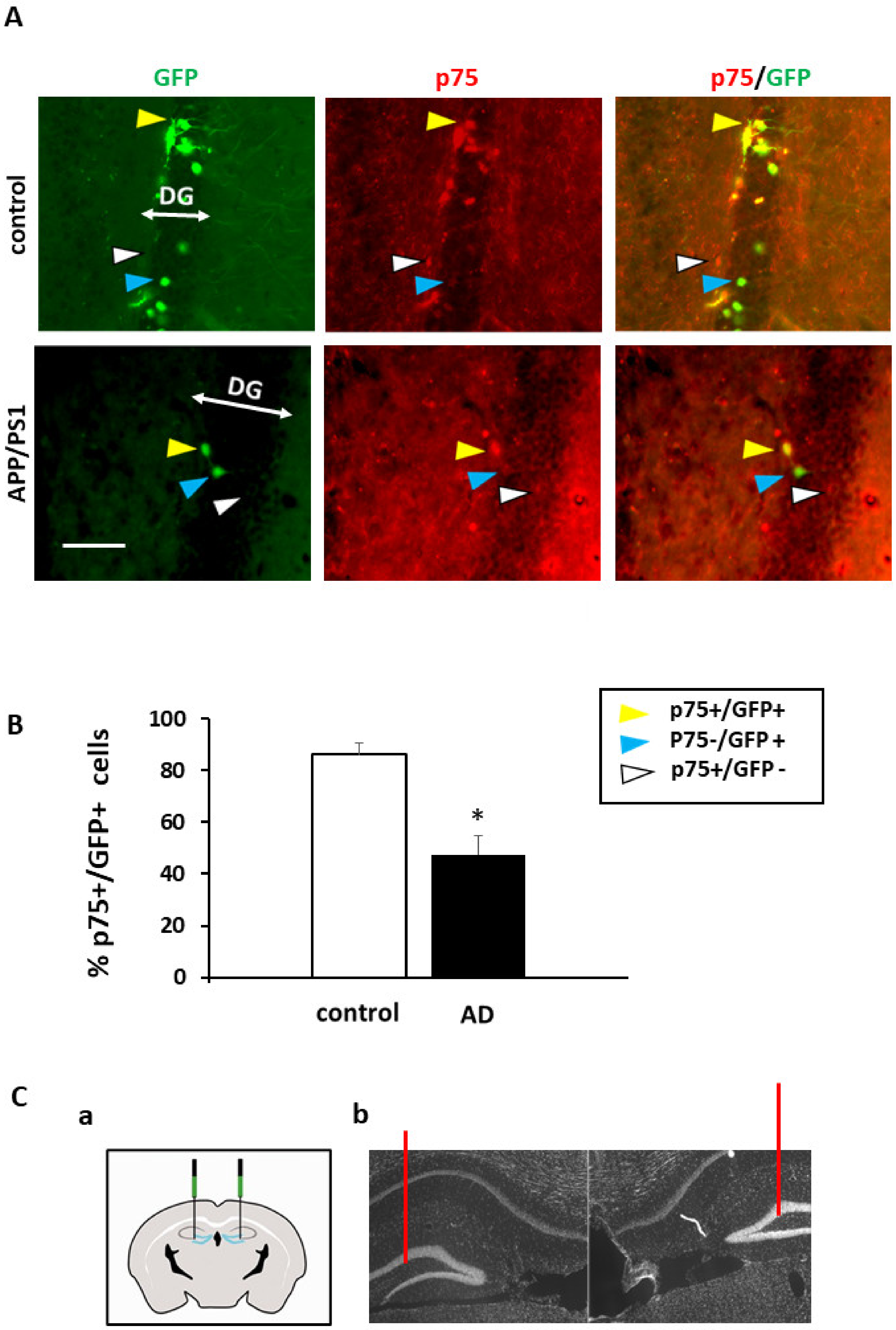 Ijms 22 10744 g002 550
