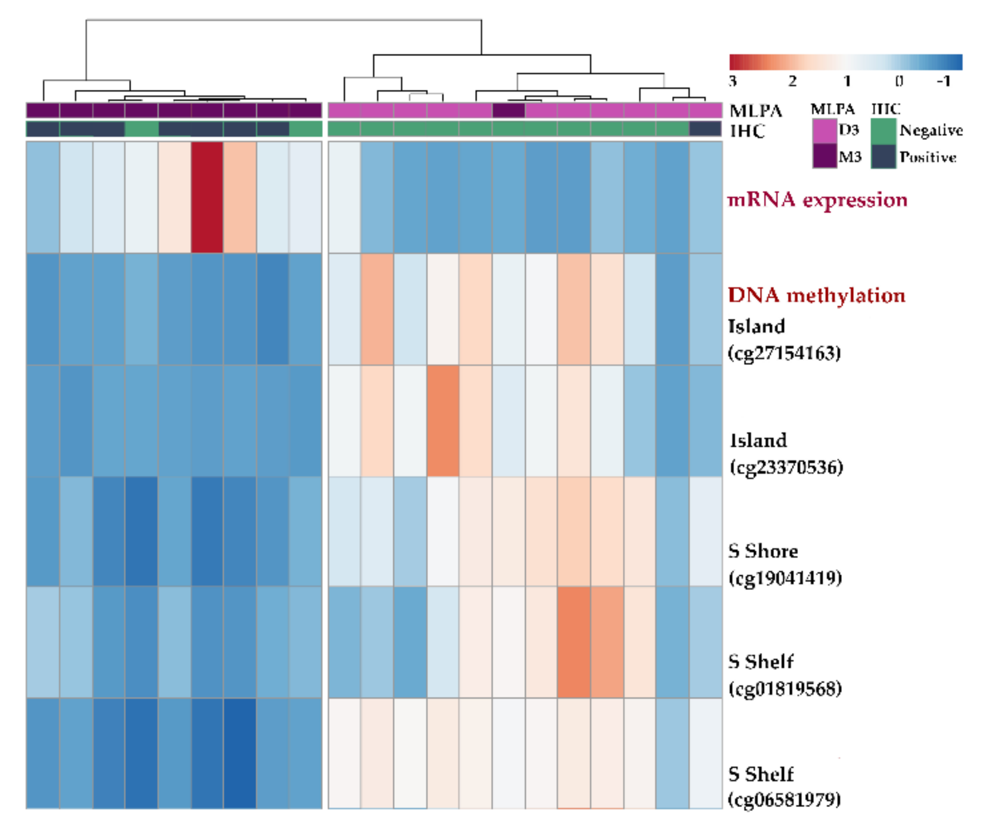 Ijms 22 10748 g007 Ijms 22 10748 g007