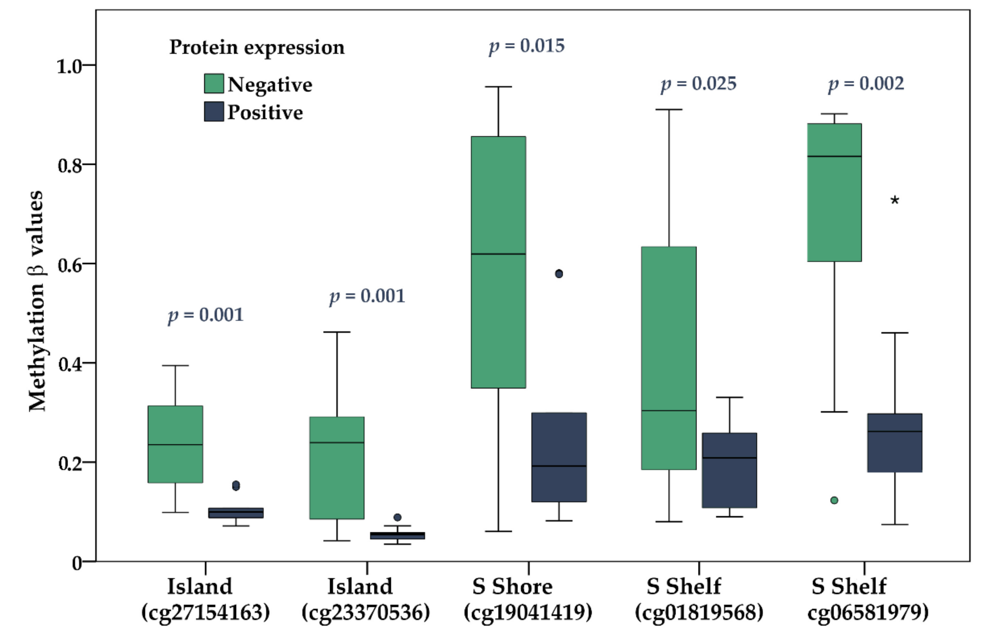 Ijms 22 10748 g008 Ijms 22 10748 g008
