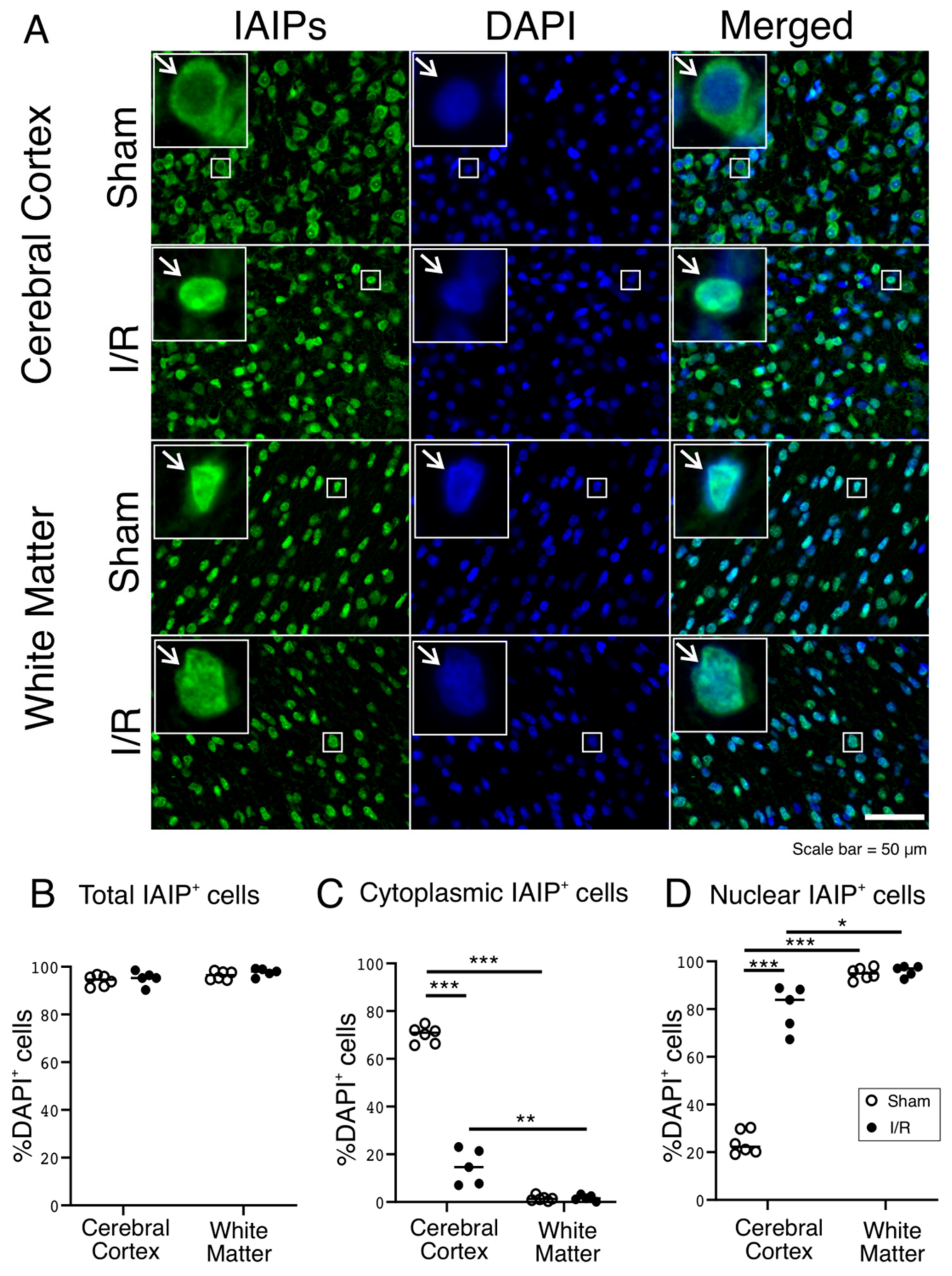 Ijms 22 10751 g002 550