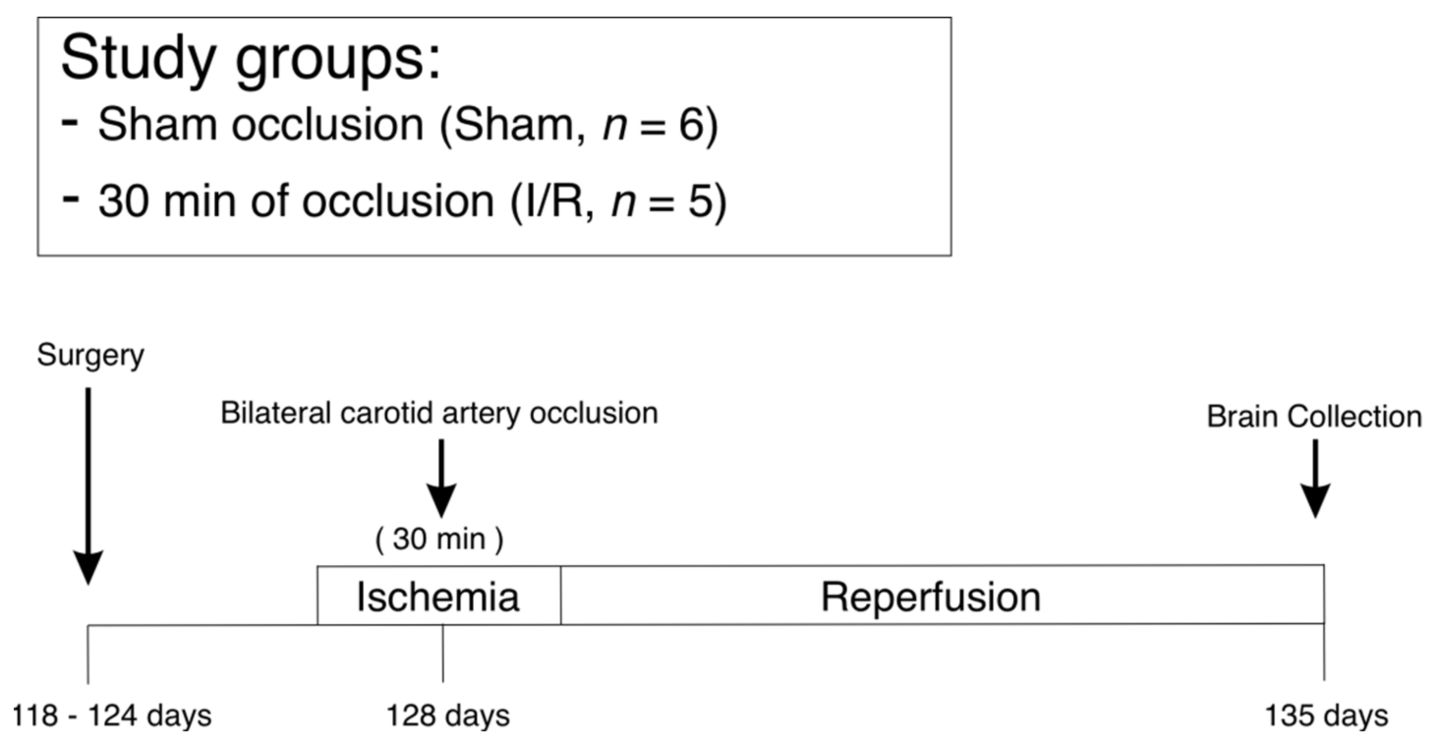 Ijms 22 10751 g009 550