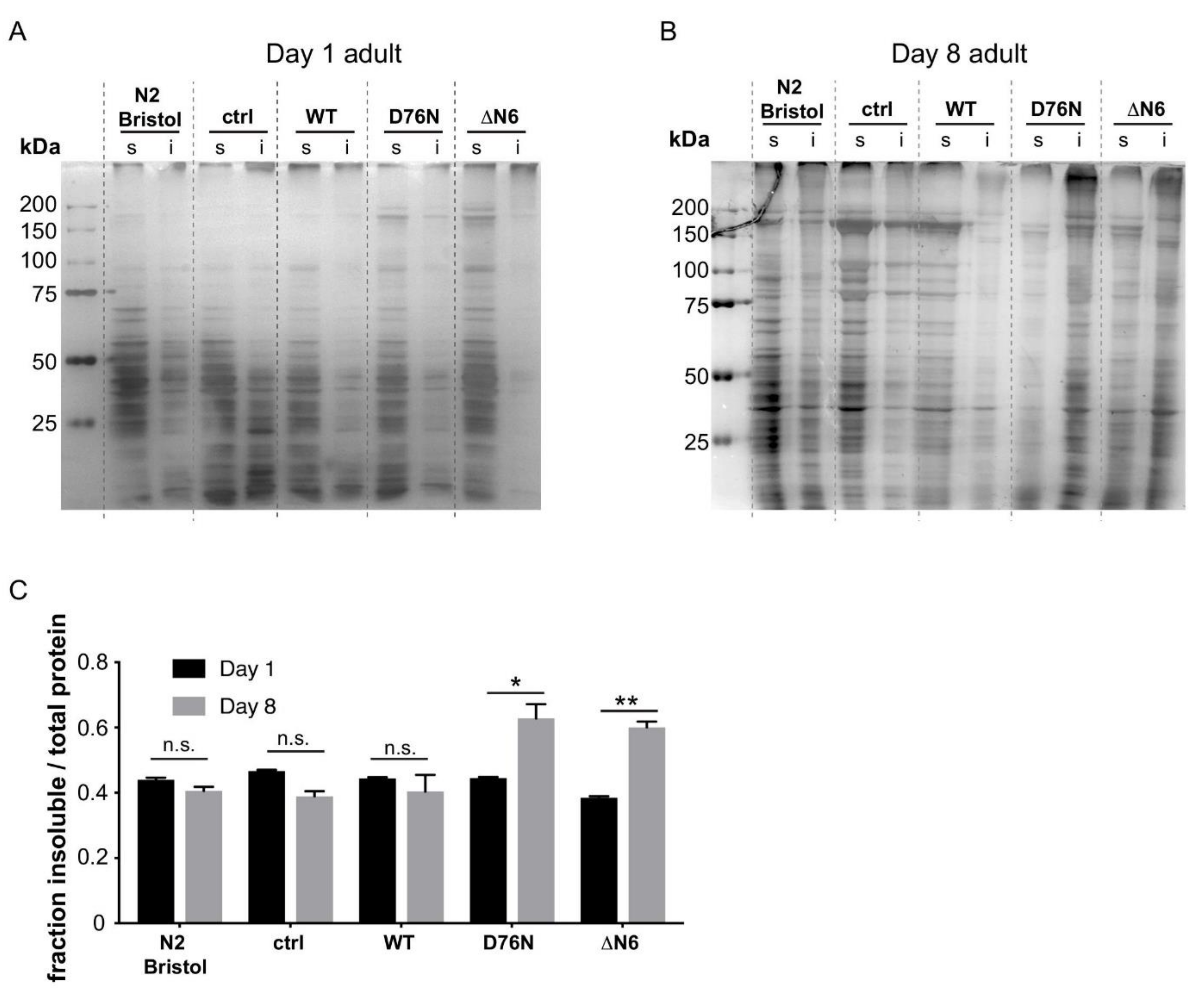 Ijms 22 10752 g003 550