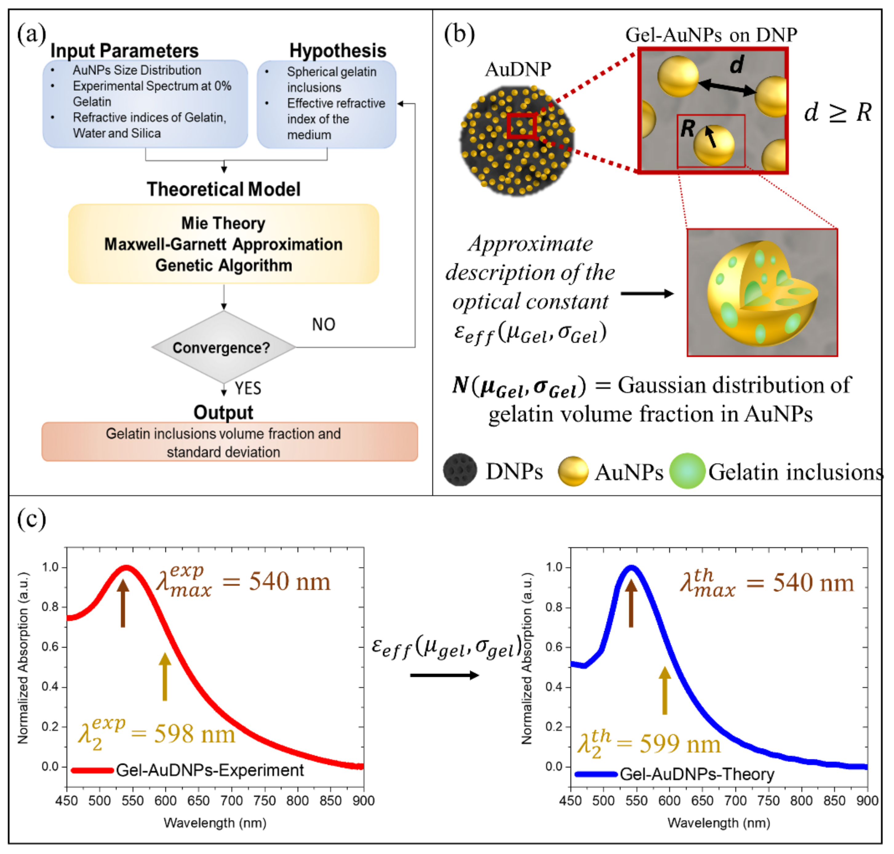 Ijms 22 10755 g002 550