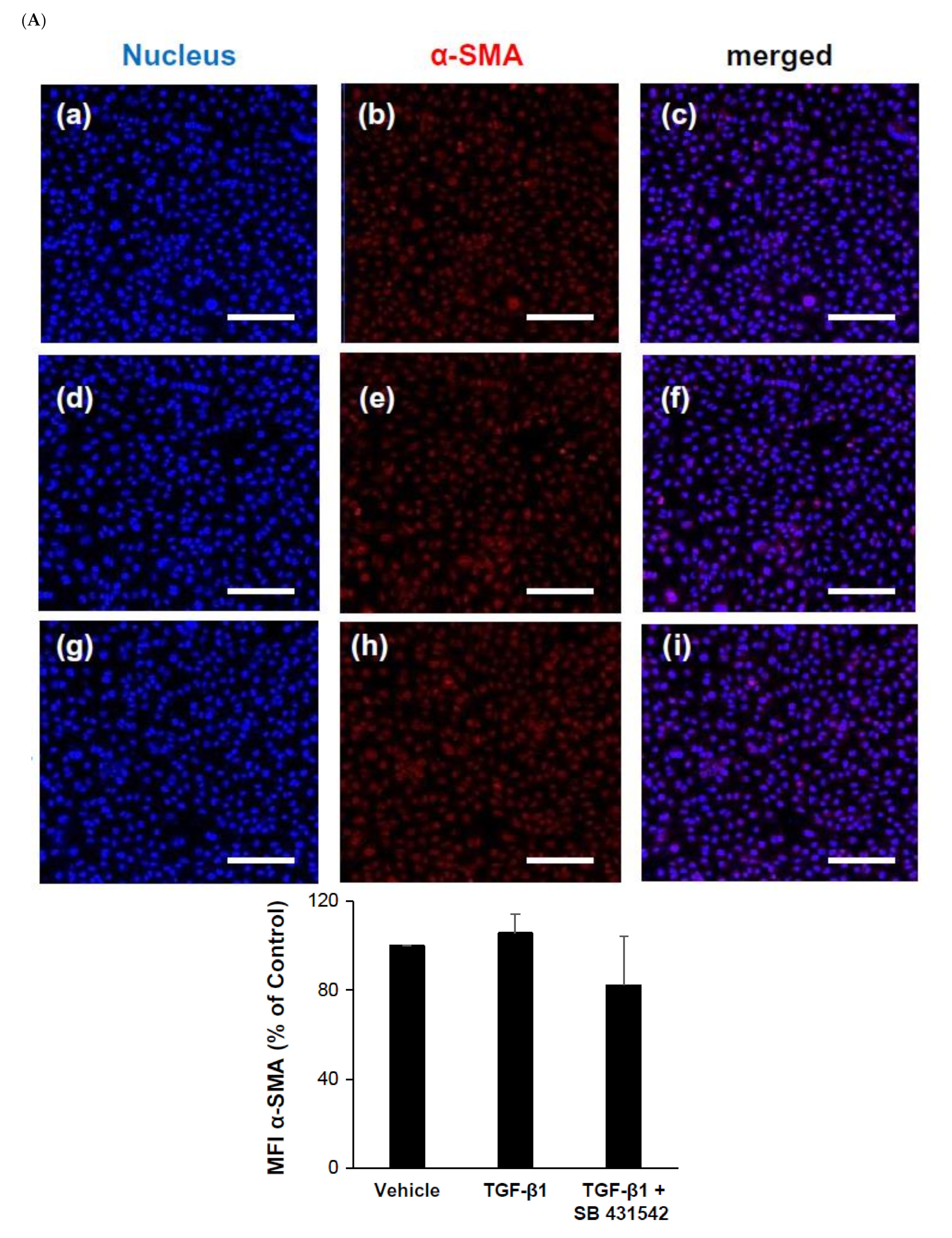 Ijms 22 10758 g001a 550