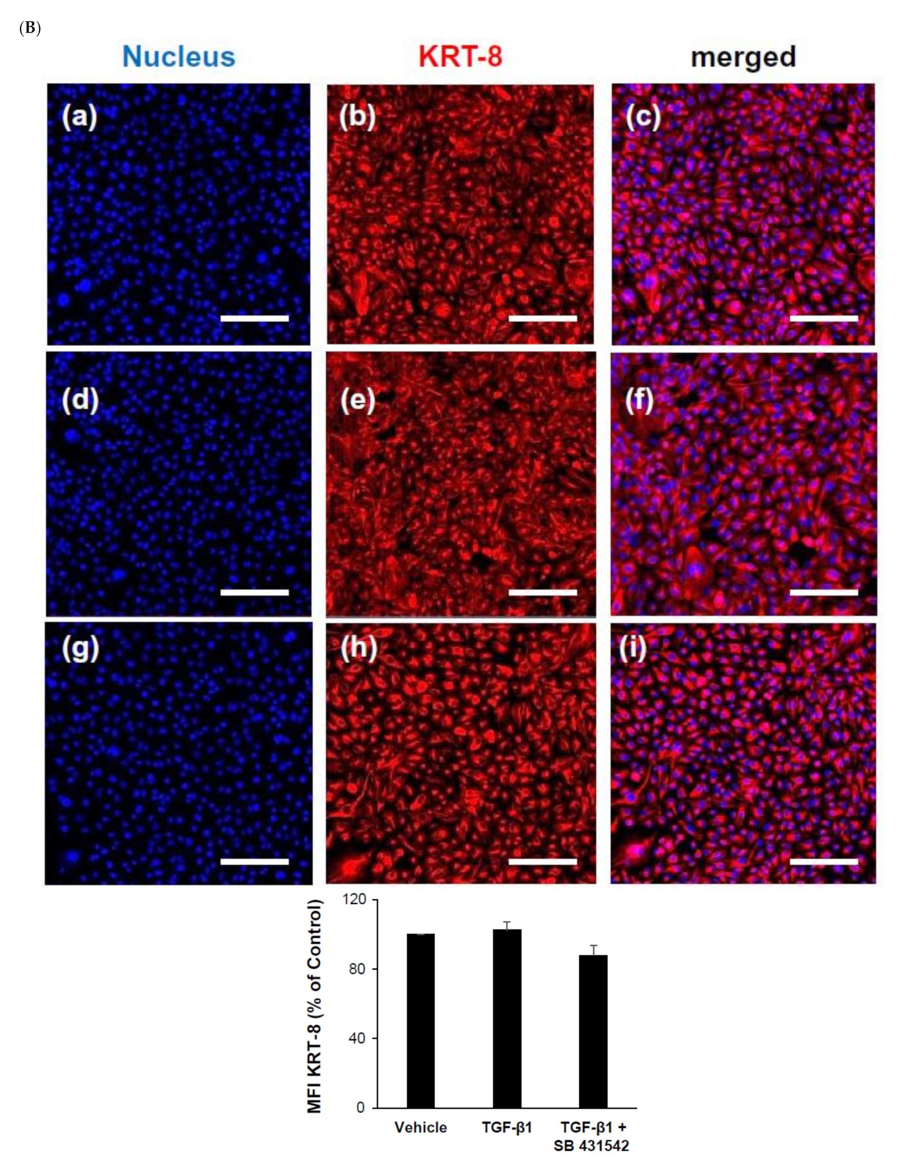 Ijms 22 10758 g001b 550