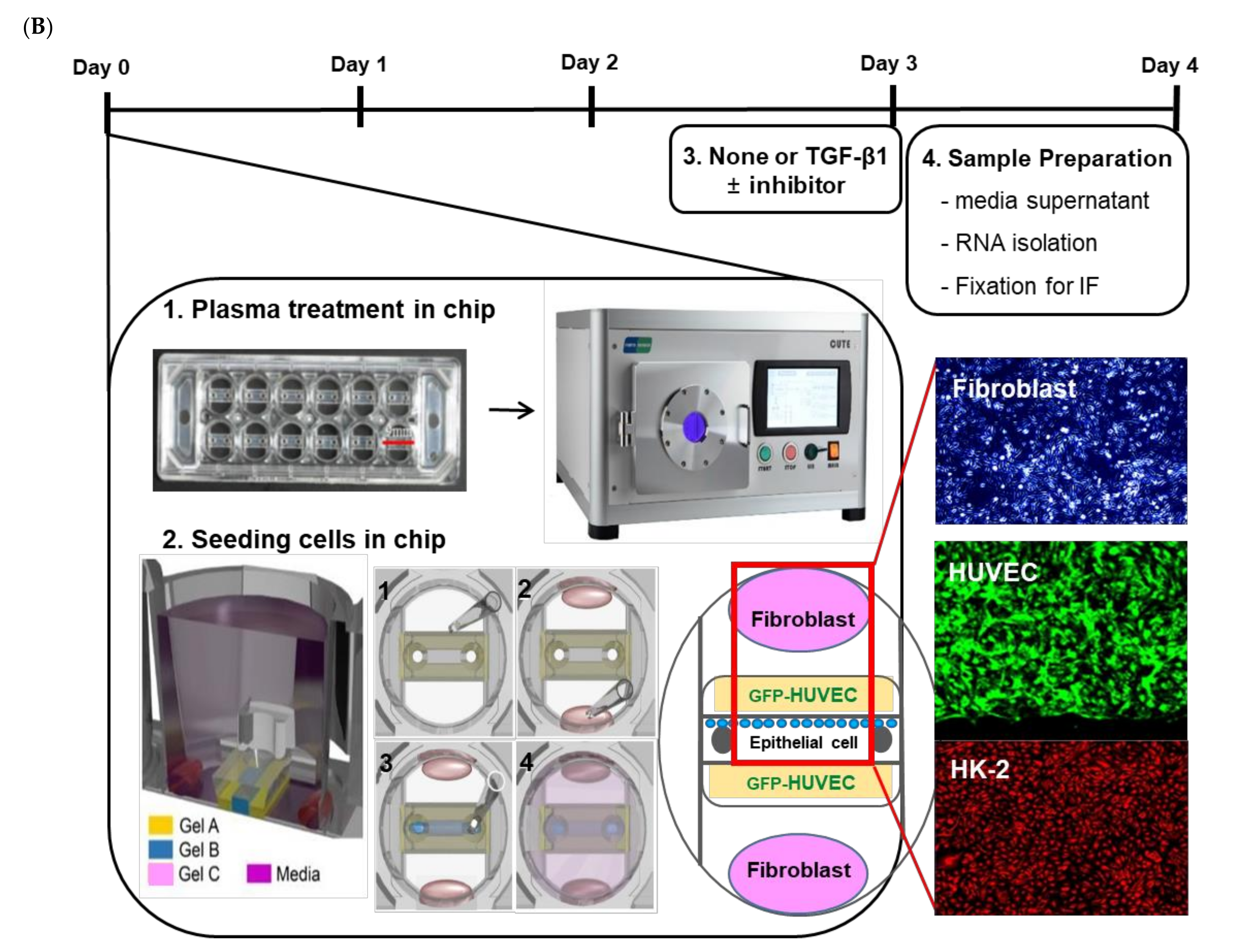 Ijms 22 10758 g003b 550